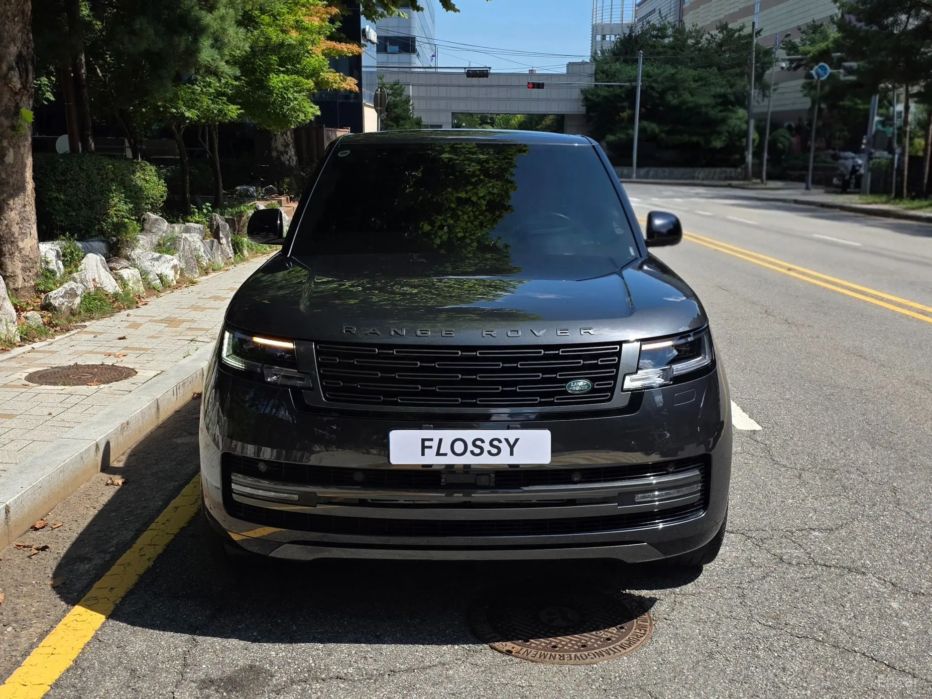 Land Rover Range Rover 5th Generation превью 3