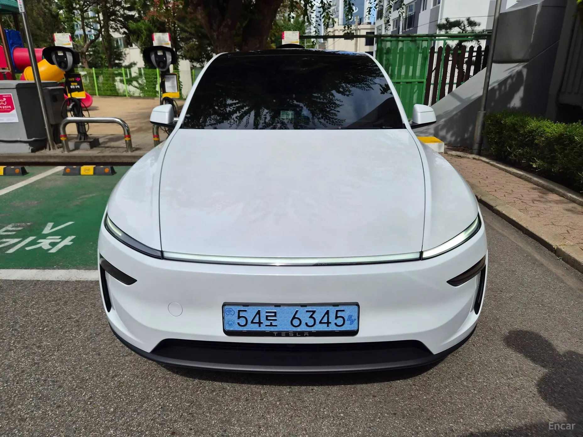 Model Y