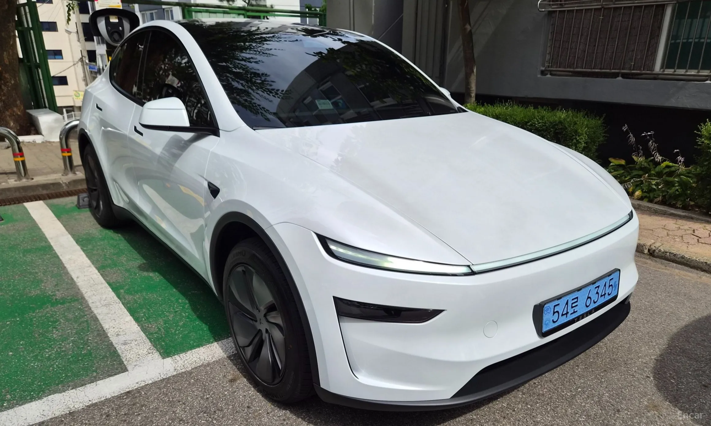 Tesla Model Y превью 2