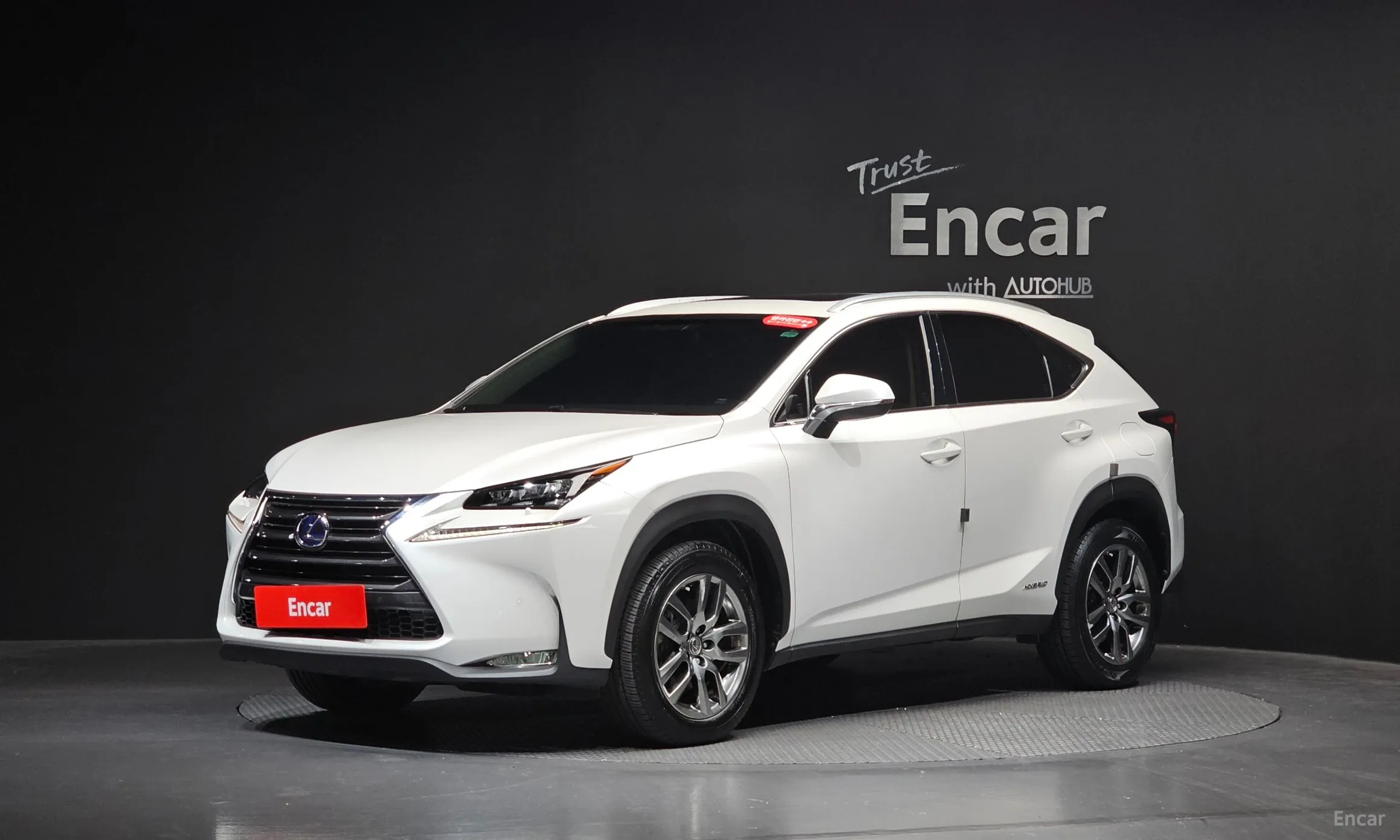NX300h