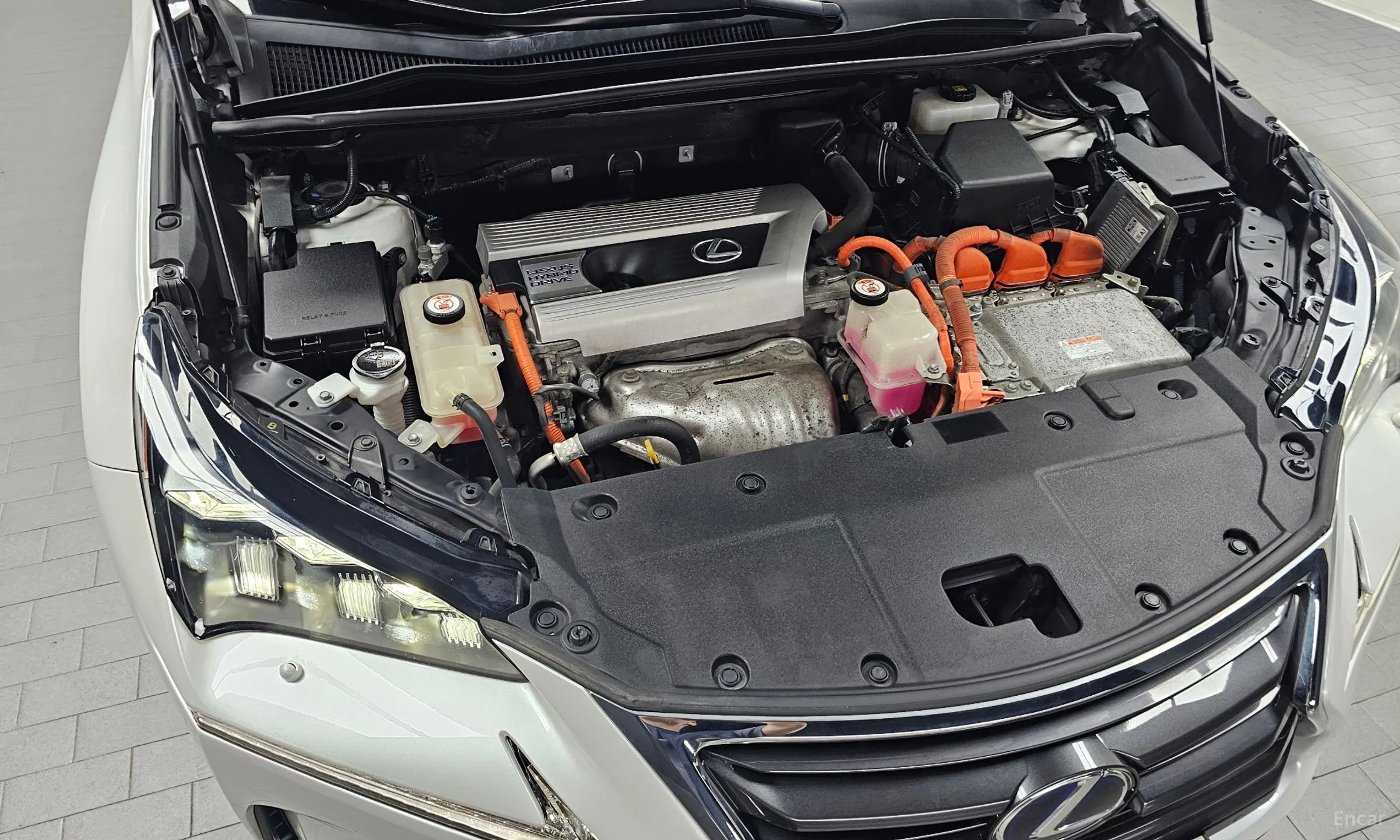 Lexus NX300h превью 6
