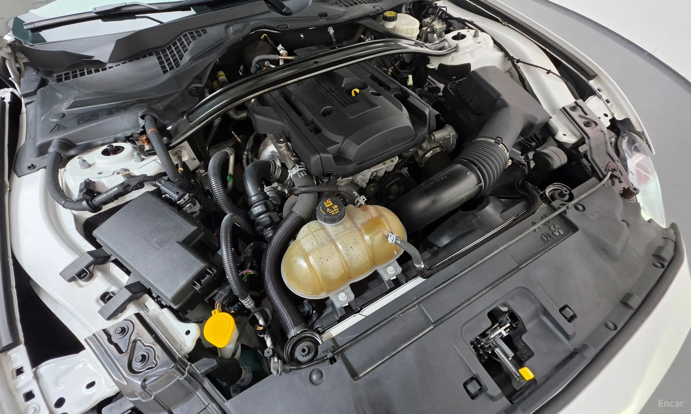 Ford Mustang превью 6