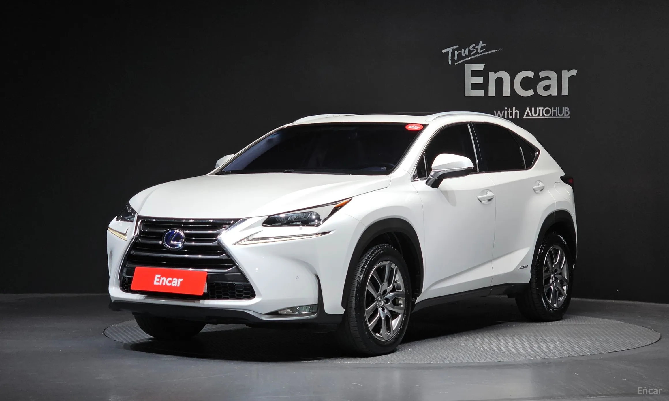 Lexus NX300h