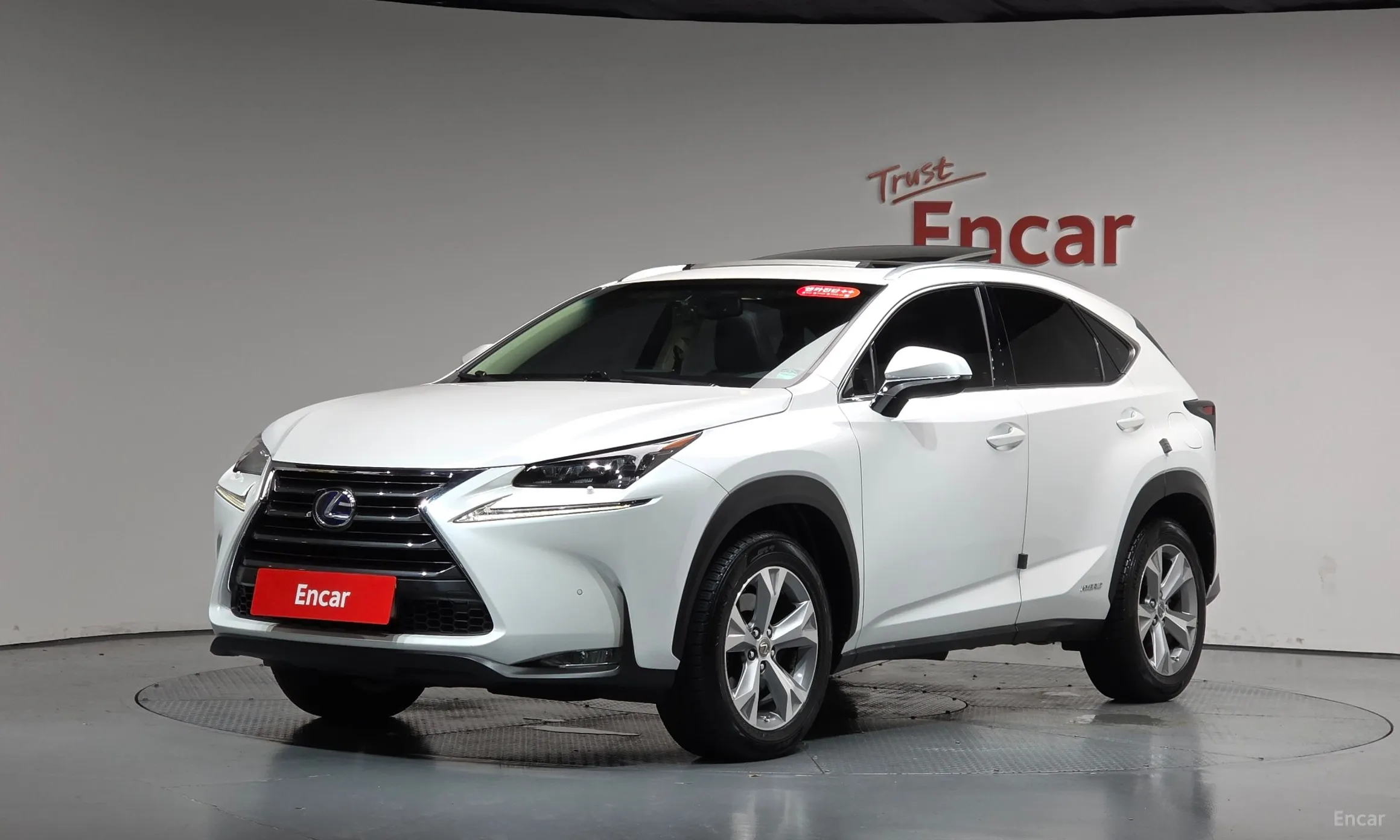 NX300h