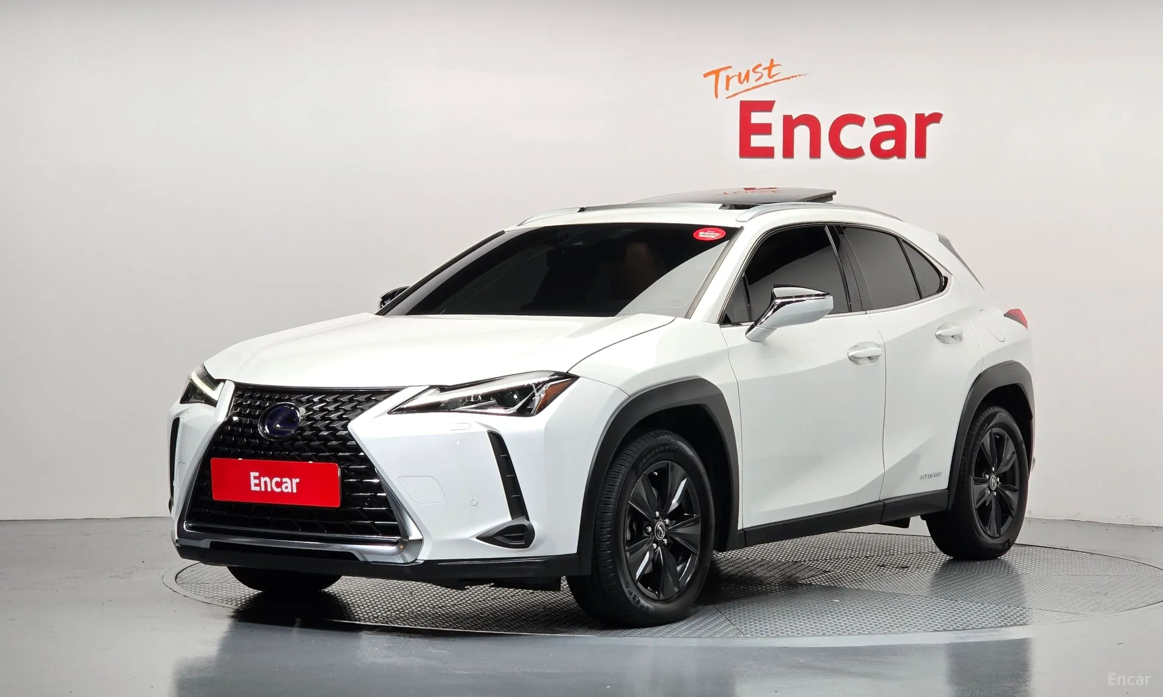 Lexus UX250h