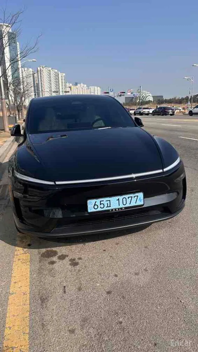 Model Y
