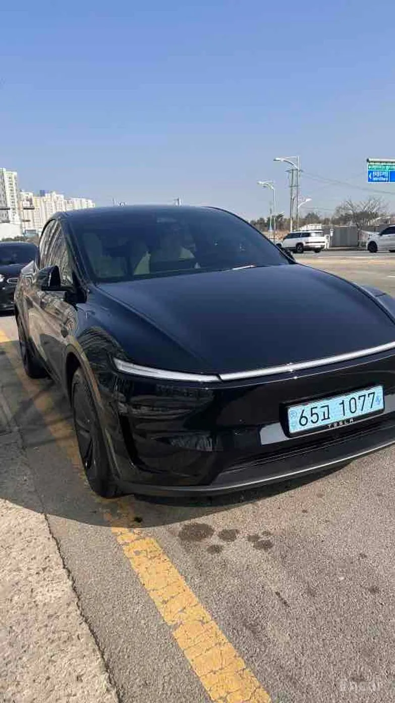 Tesla Model Y превью 2