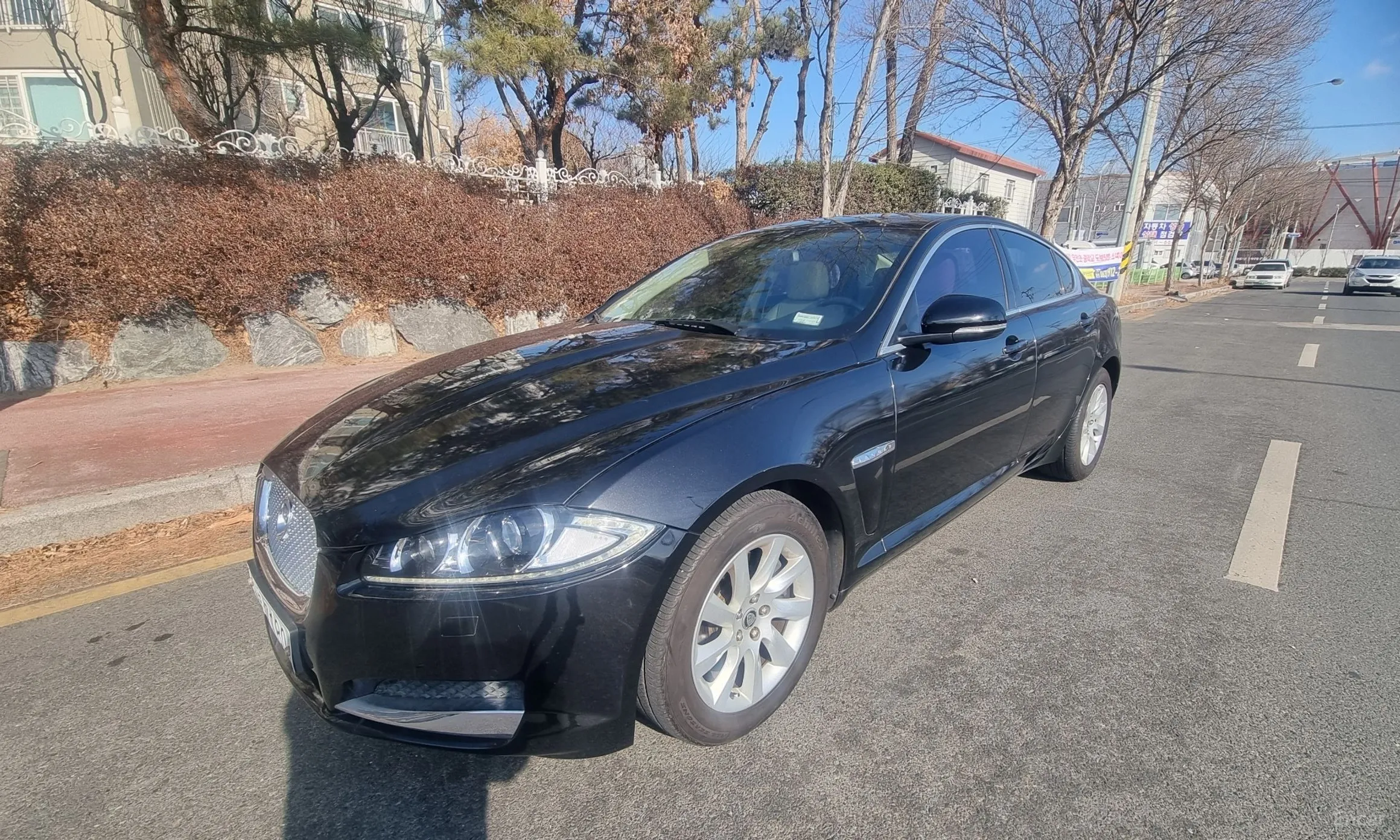 New XF