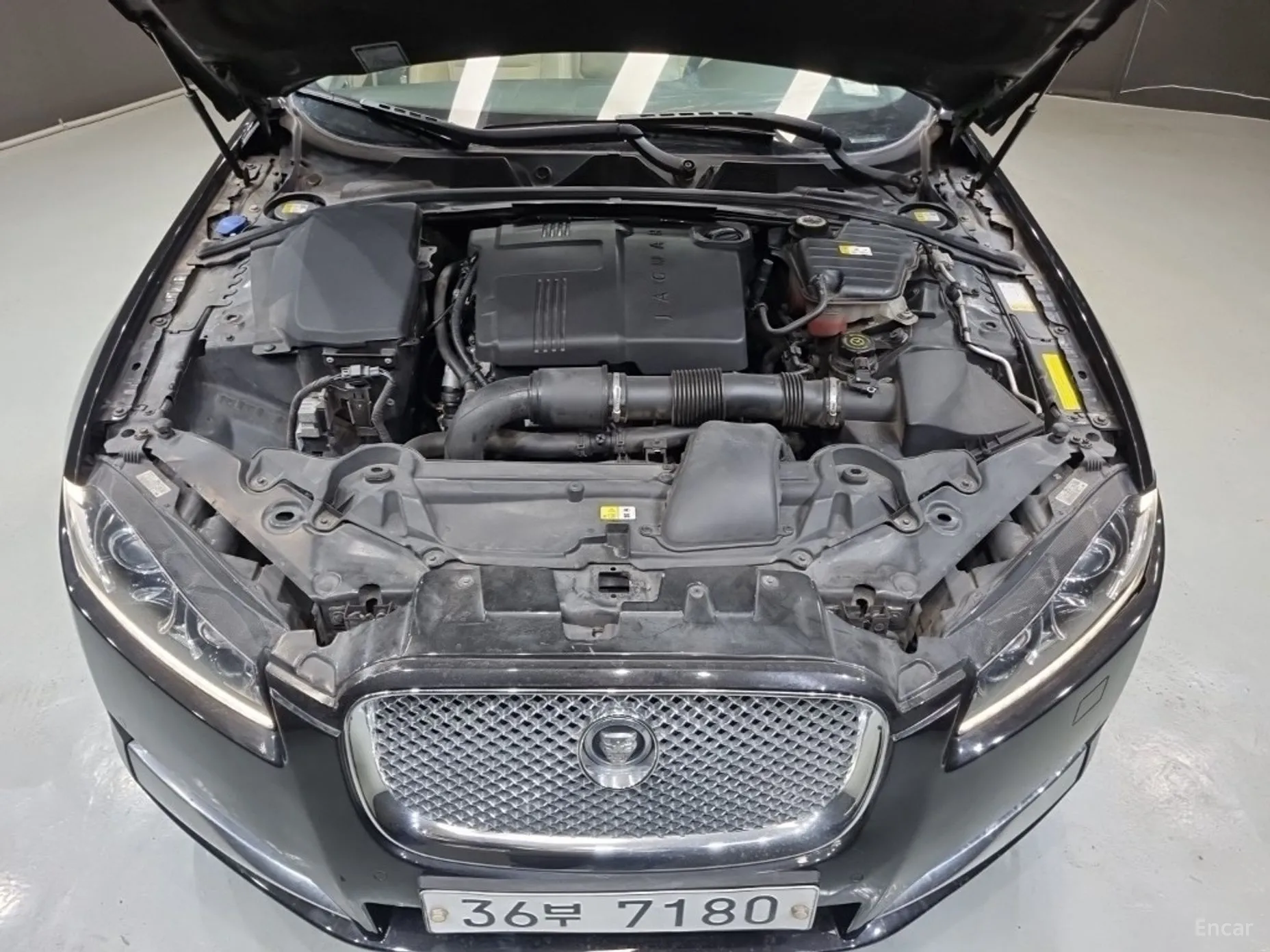 Jaguar New XF превью 5