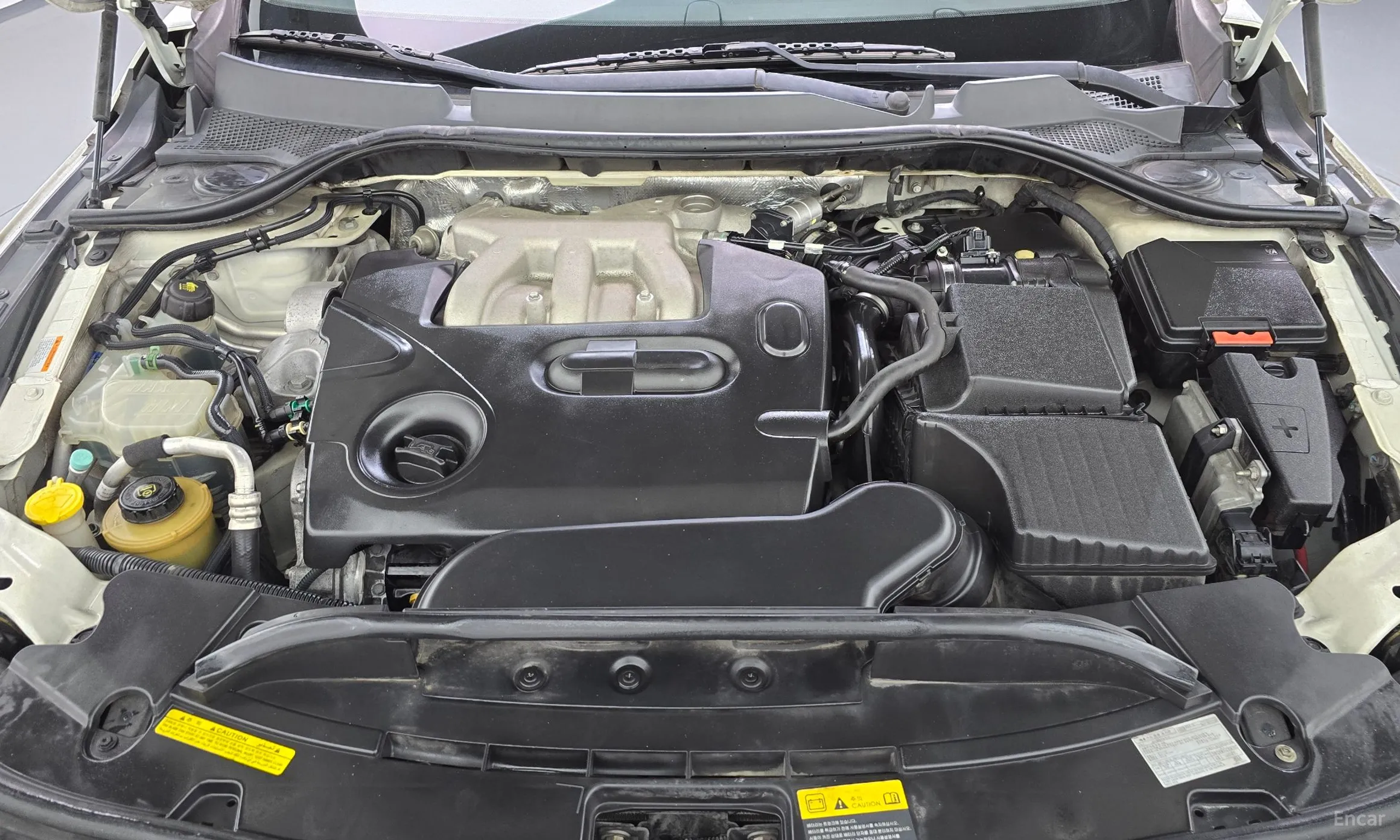 Renault Korea (Samsung) SM7 превью 6