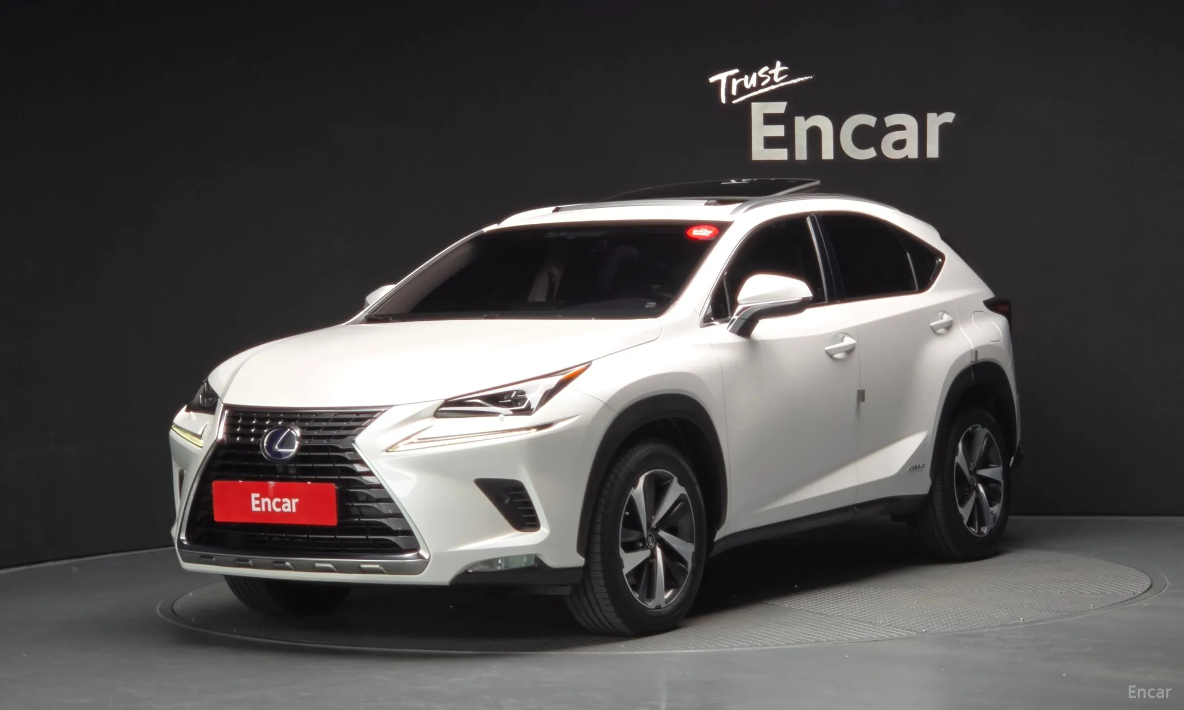 Lexus NX300h