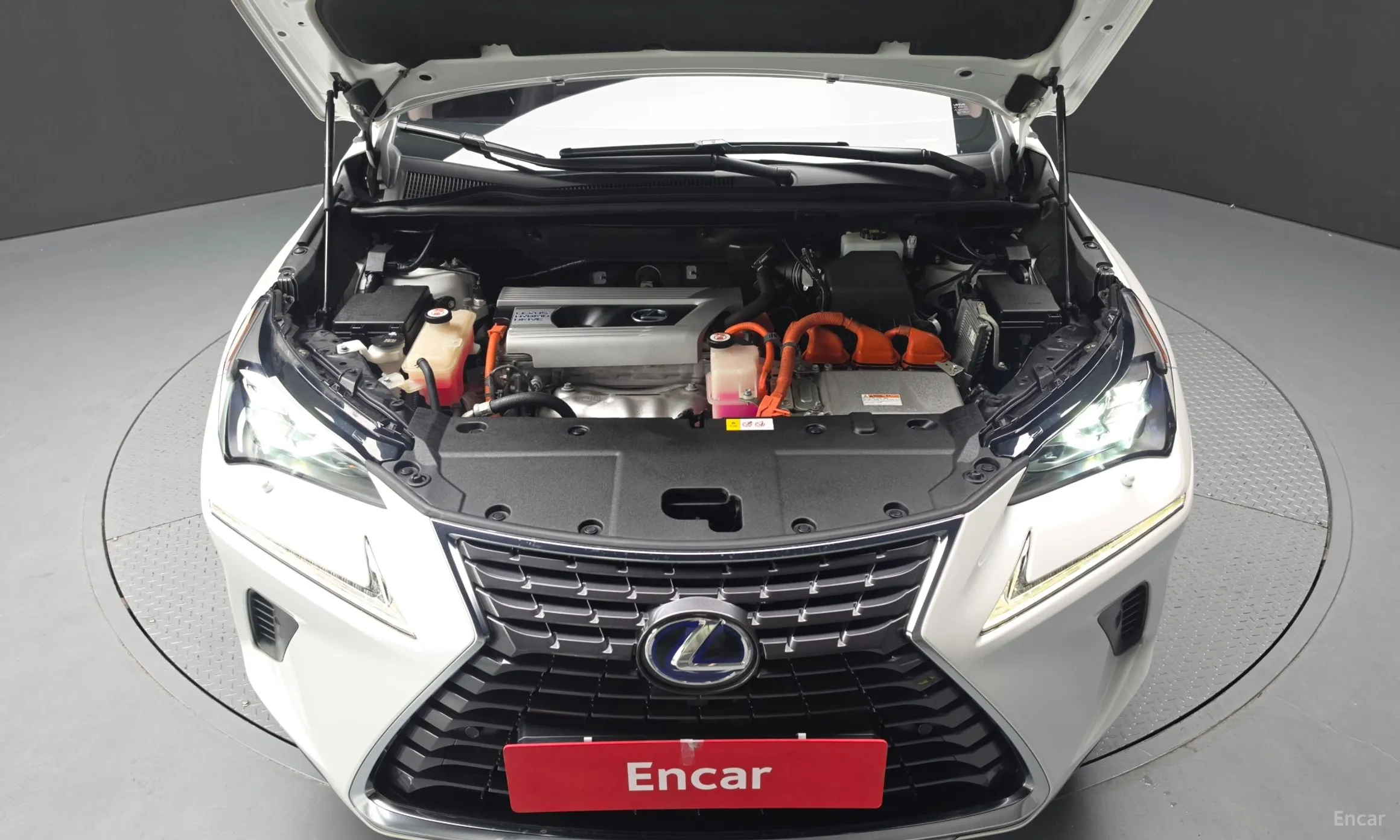 Lexus NX300h превью 6