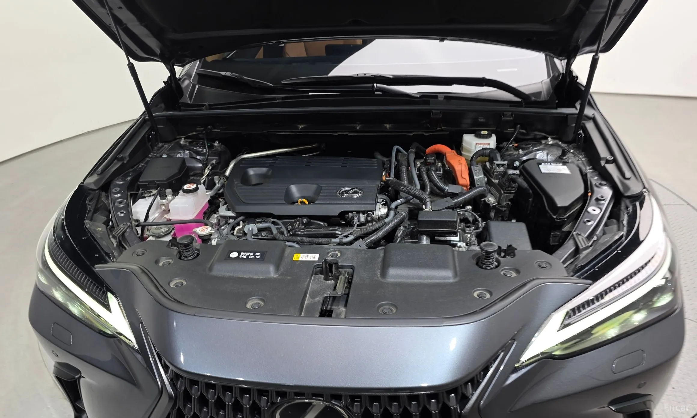 Lexus NX350h Gen 2 превью 6