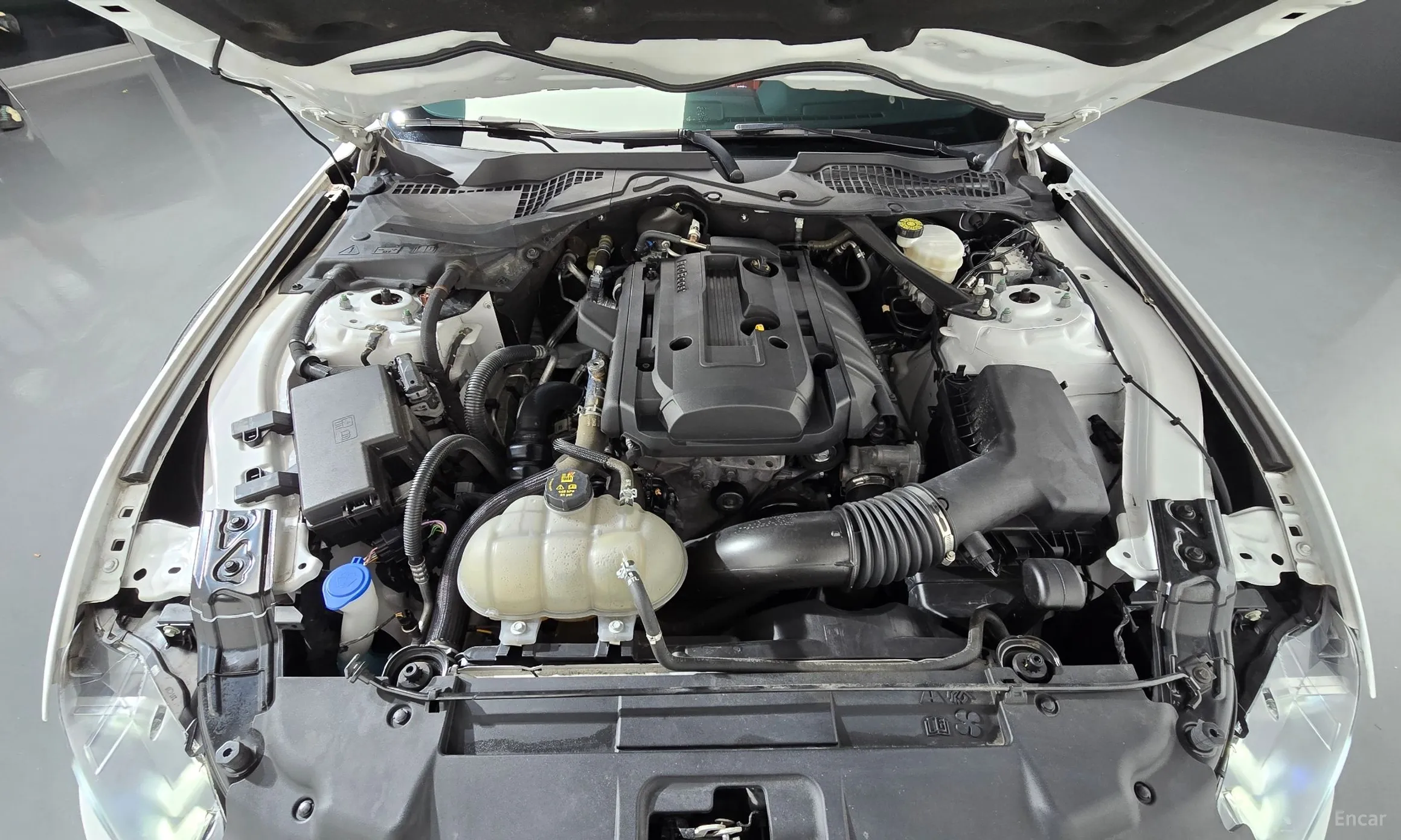 Ford Mustang превью 6