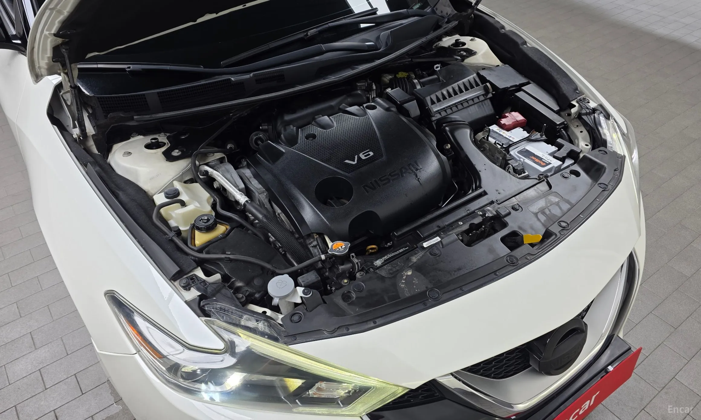Nissan Maxima (A36) превью 6
