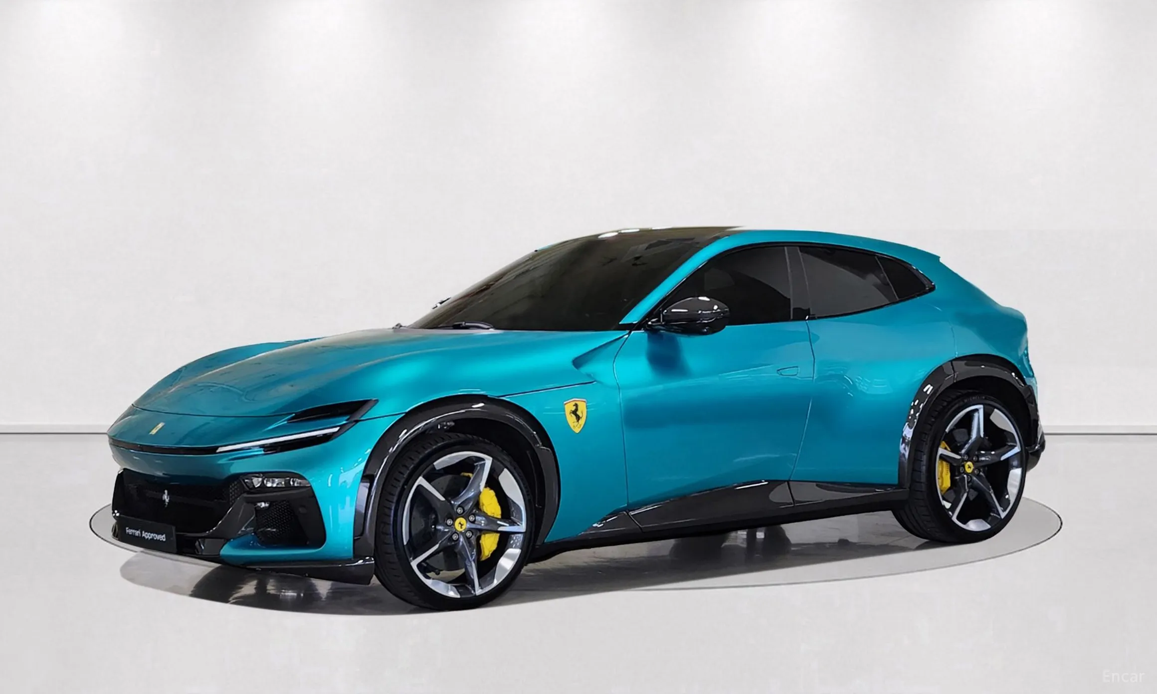 Ferrari Puro Sange превью 9
