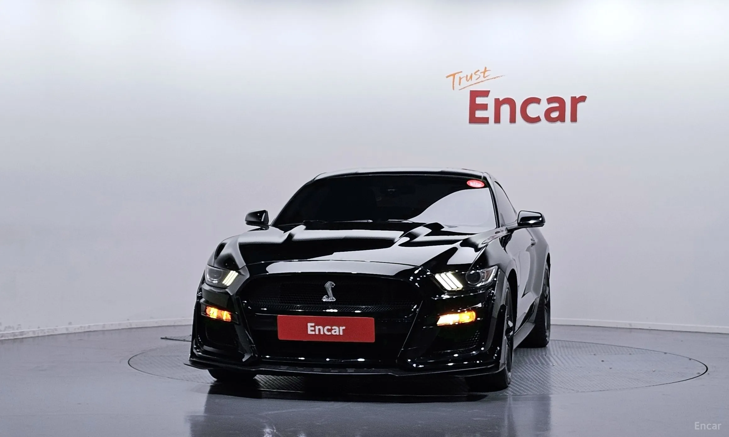 Ford Mustang превью 3