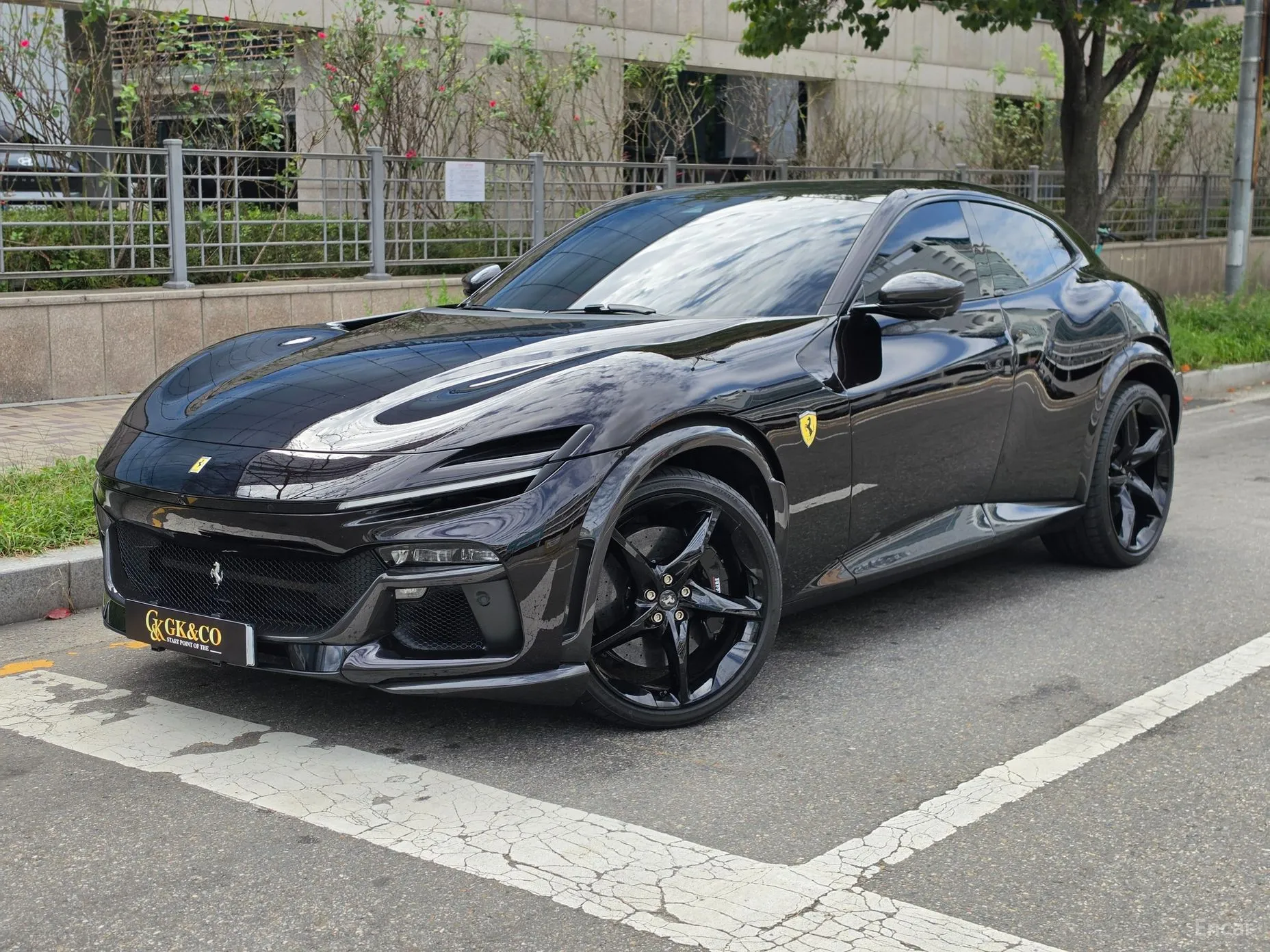 Ferrari Puro Sange