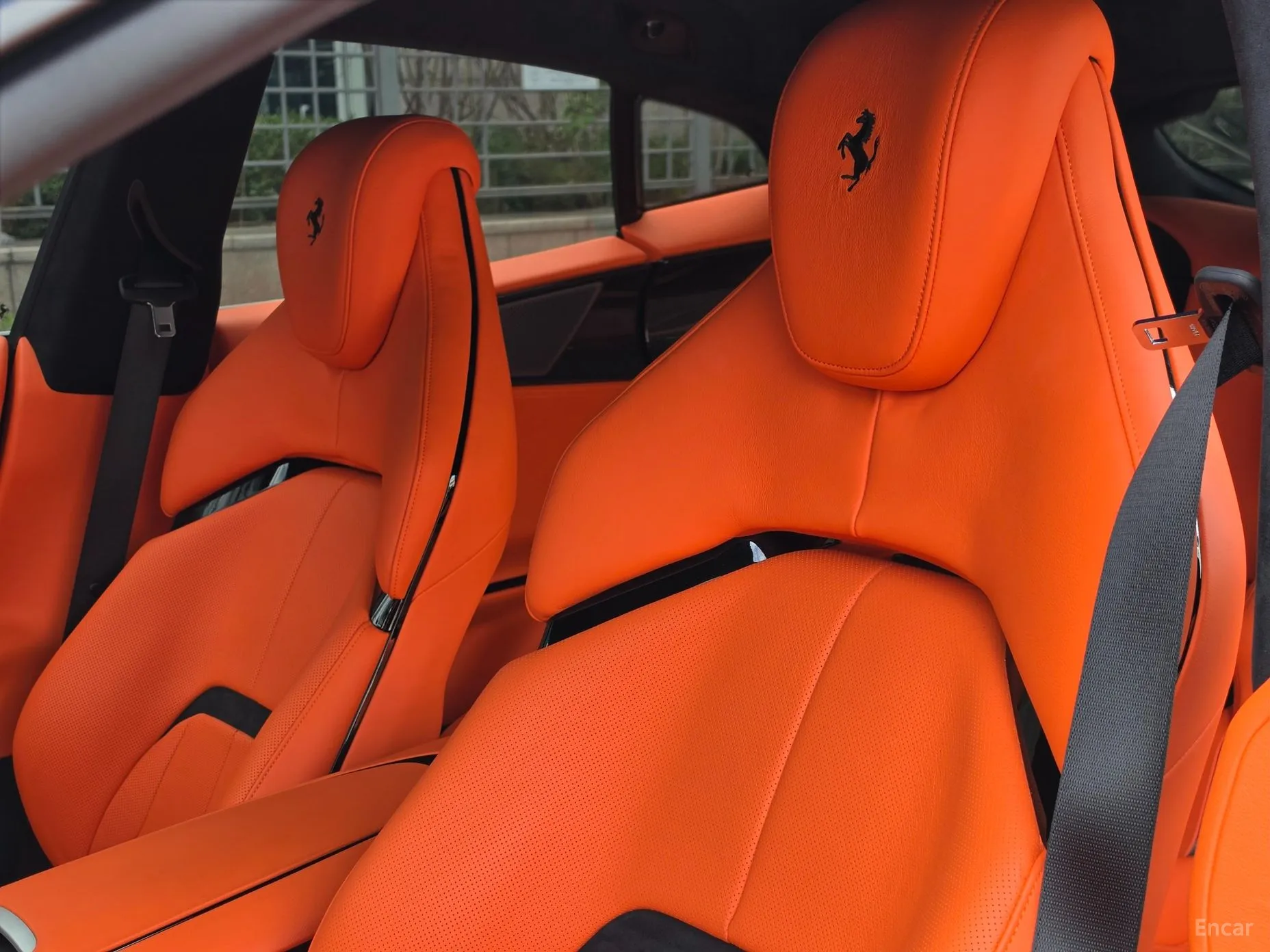 Ferrari Puro Sange превью 10