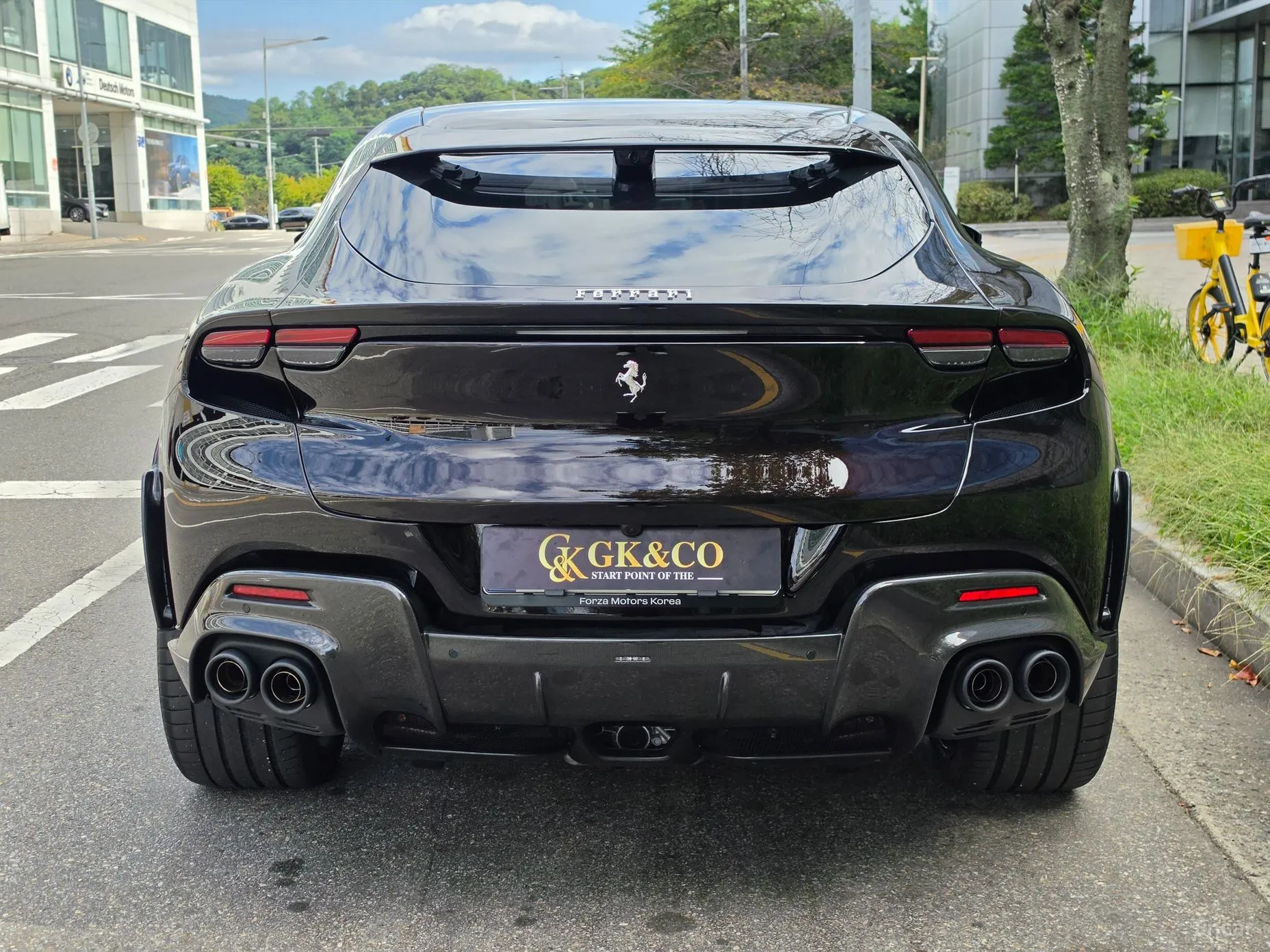 Ferrari Puro Sange