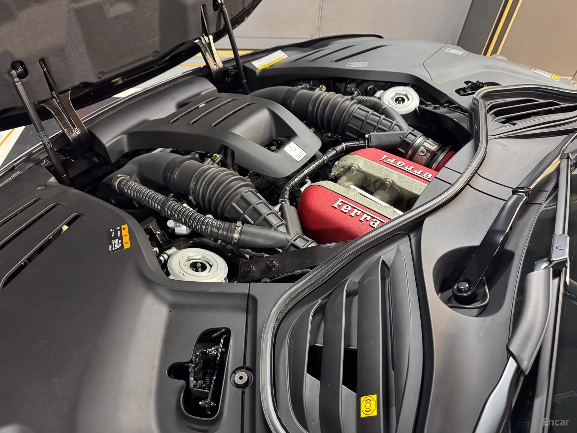 Ferrari Puro Sange превью 6