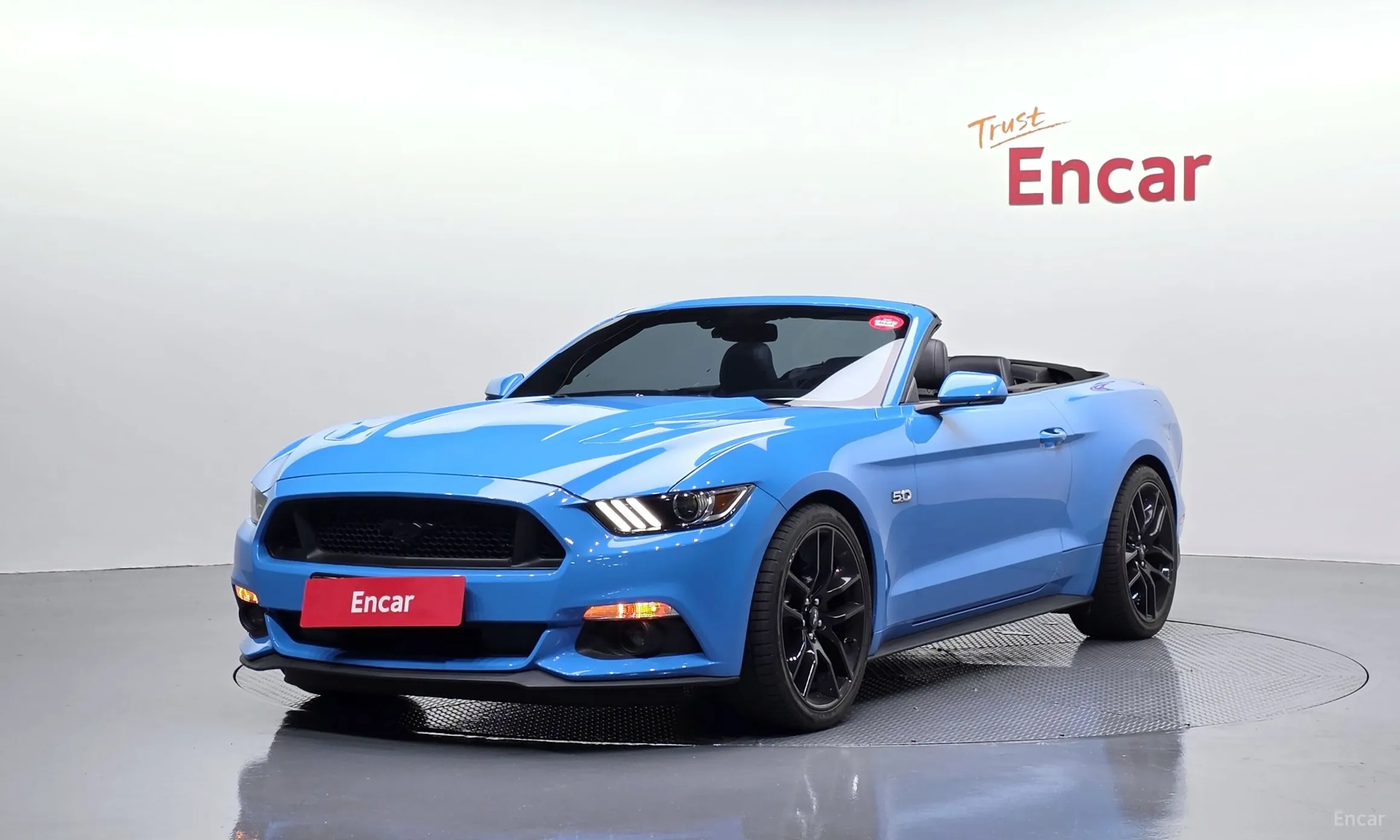 Mustang