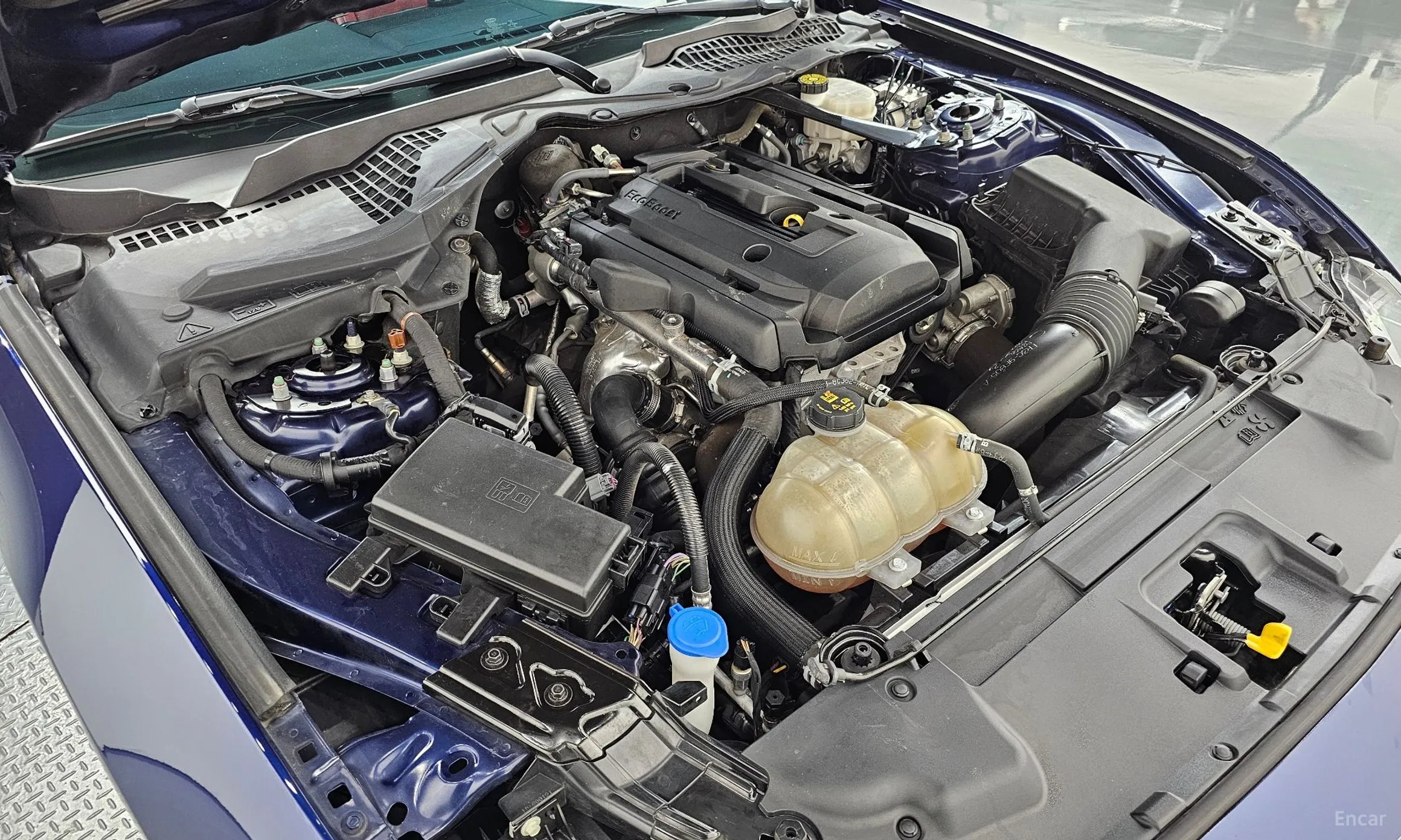 Ford Mustang превью 6