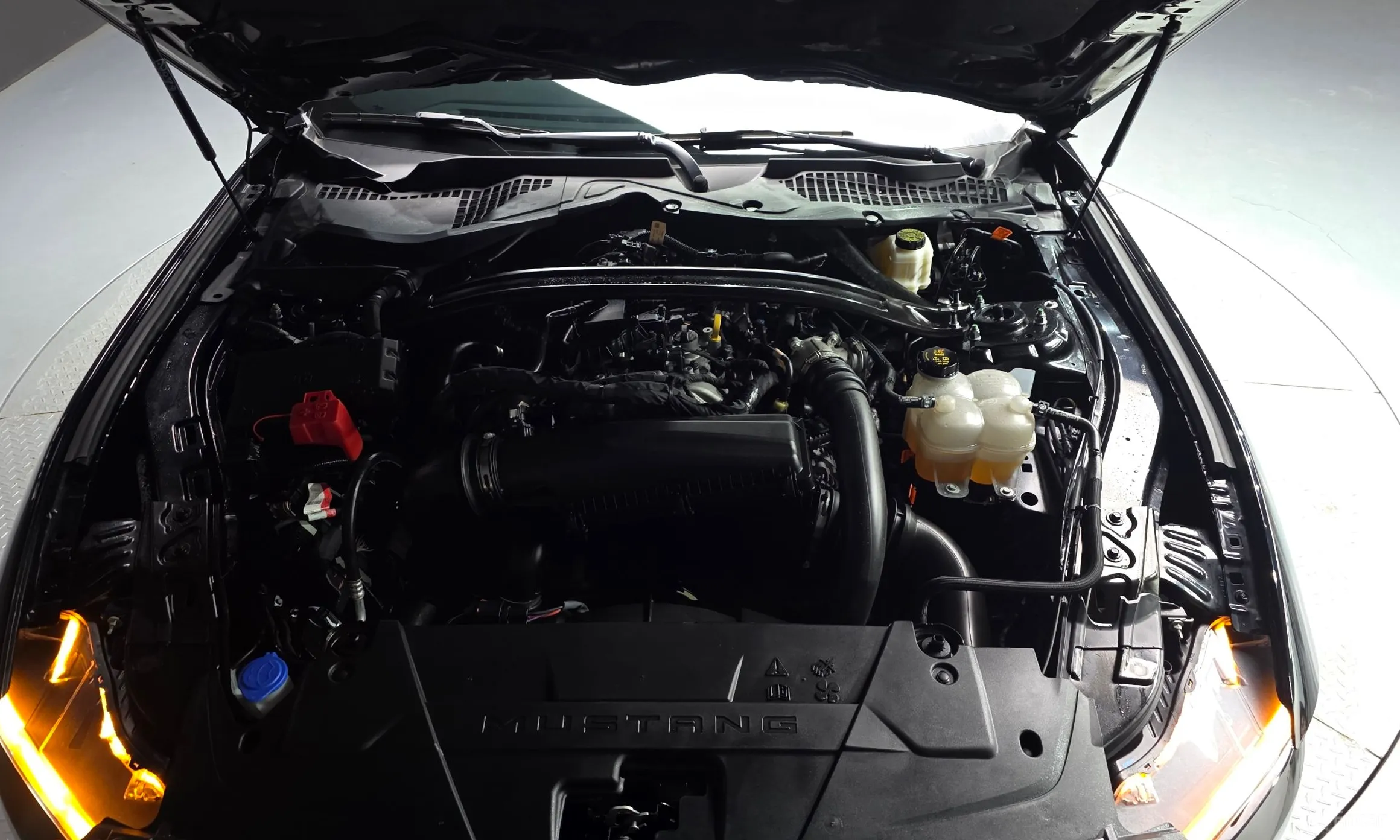 Ford Mustang 7th Generation превью 6