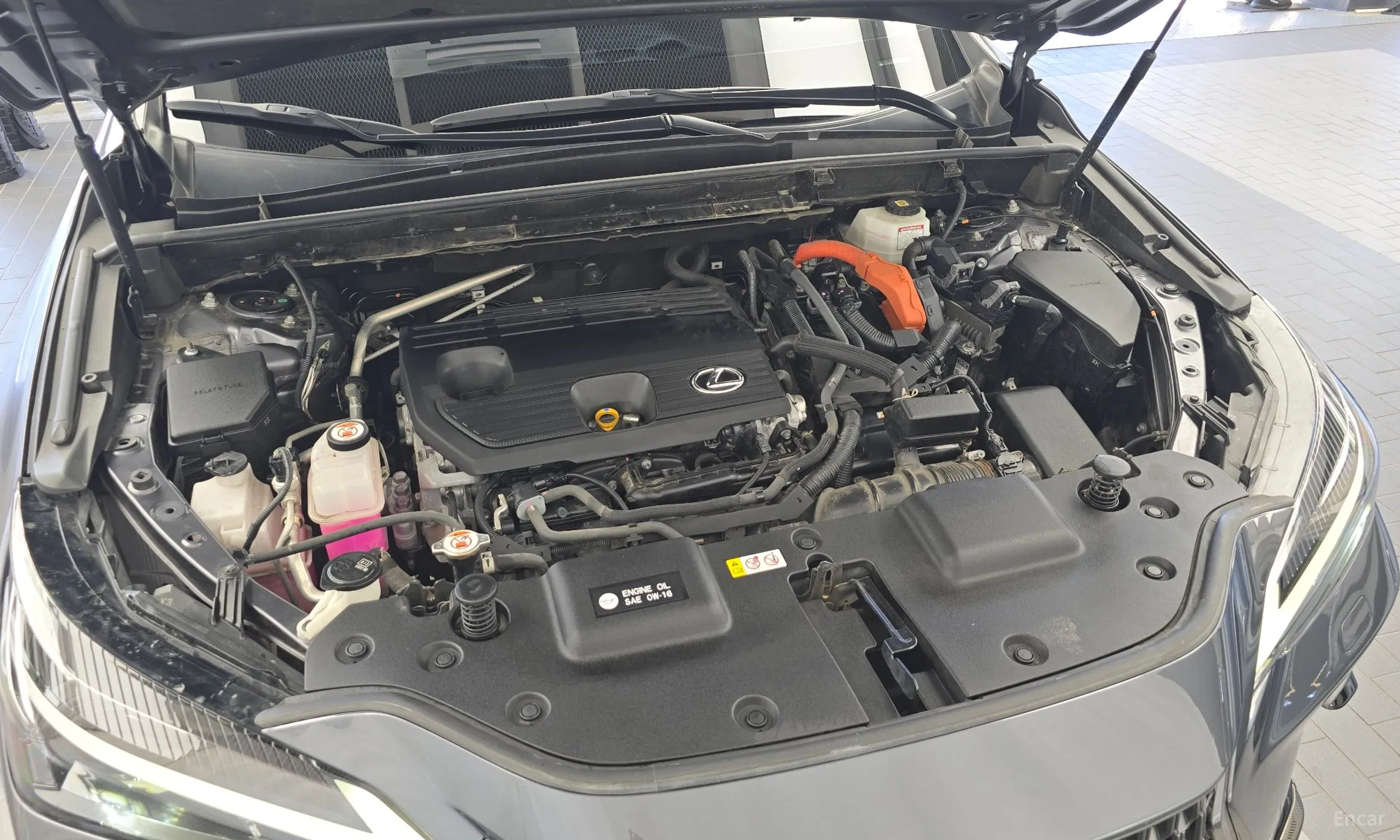 Lexus NX350h Gen 2 превью 6