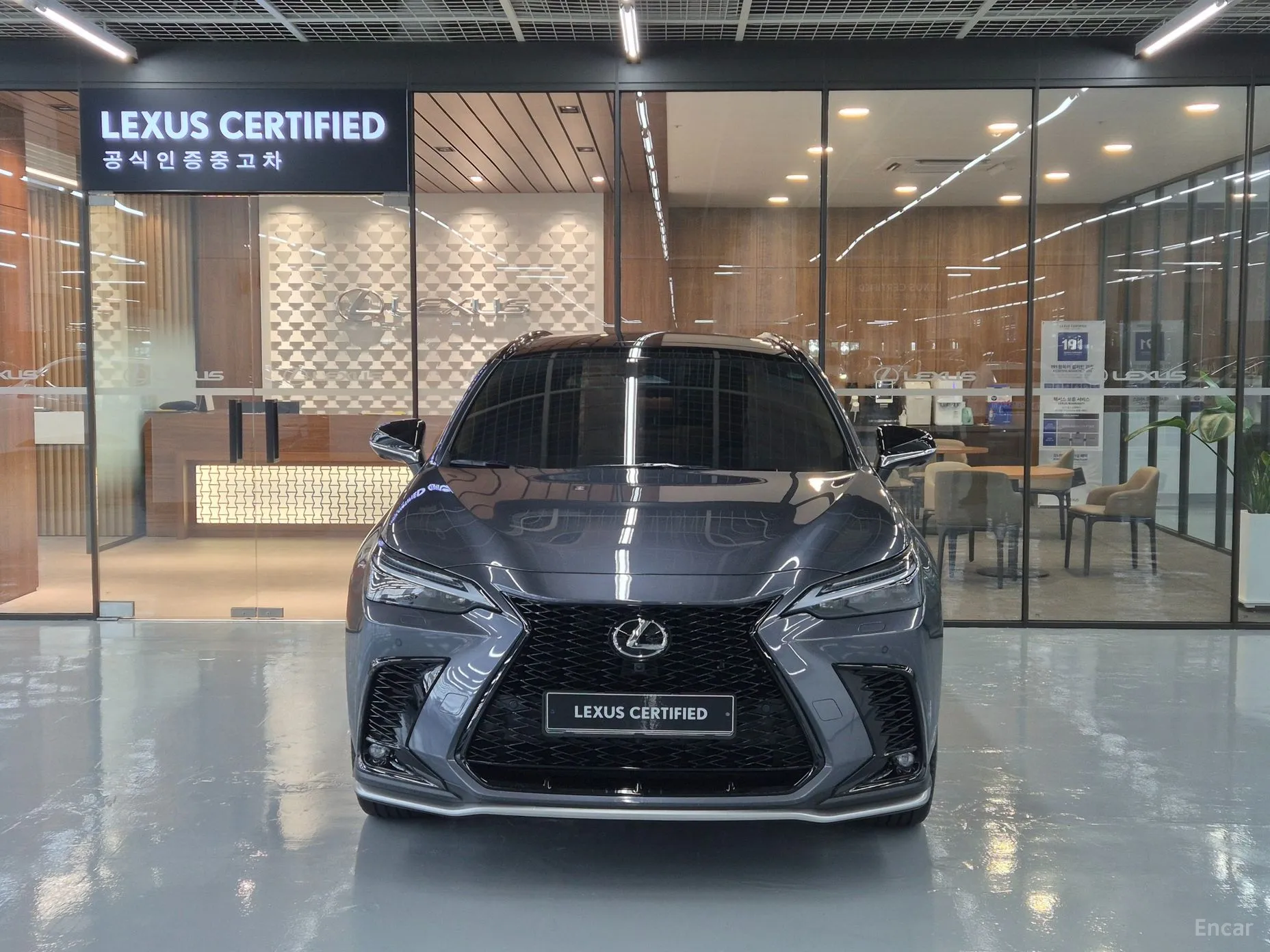 Lexus NX450h + 2nd Gen превью 3