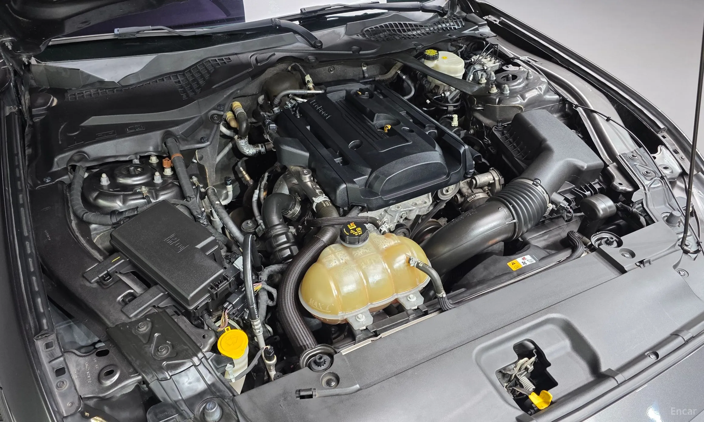 Ford Mustang превью 6