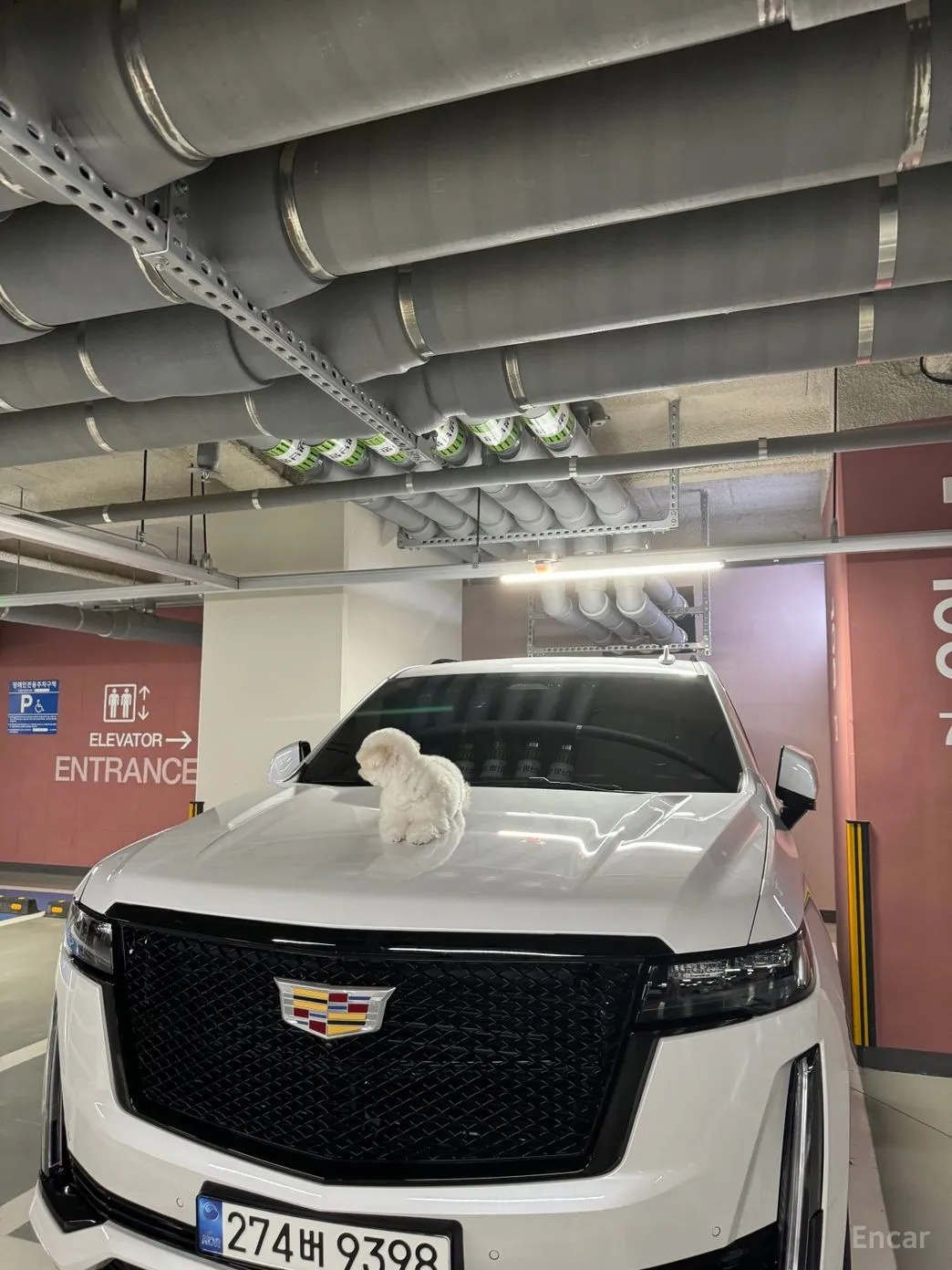 Cadillac Escalade 5th Generation превью 3