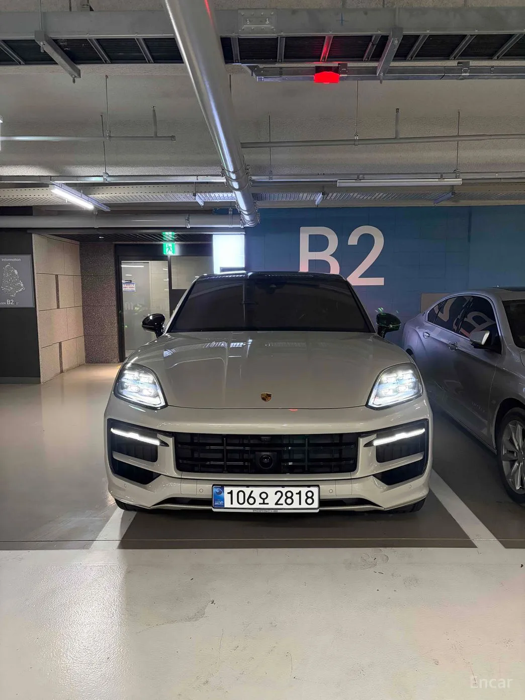 Cayenne (PO536)