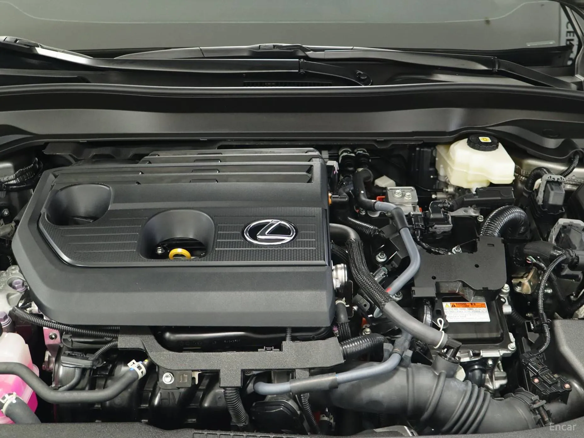 Lexus UX300h превью 6
