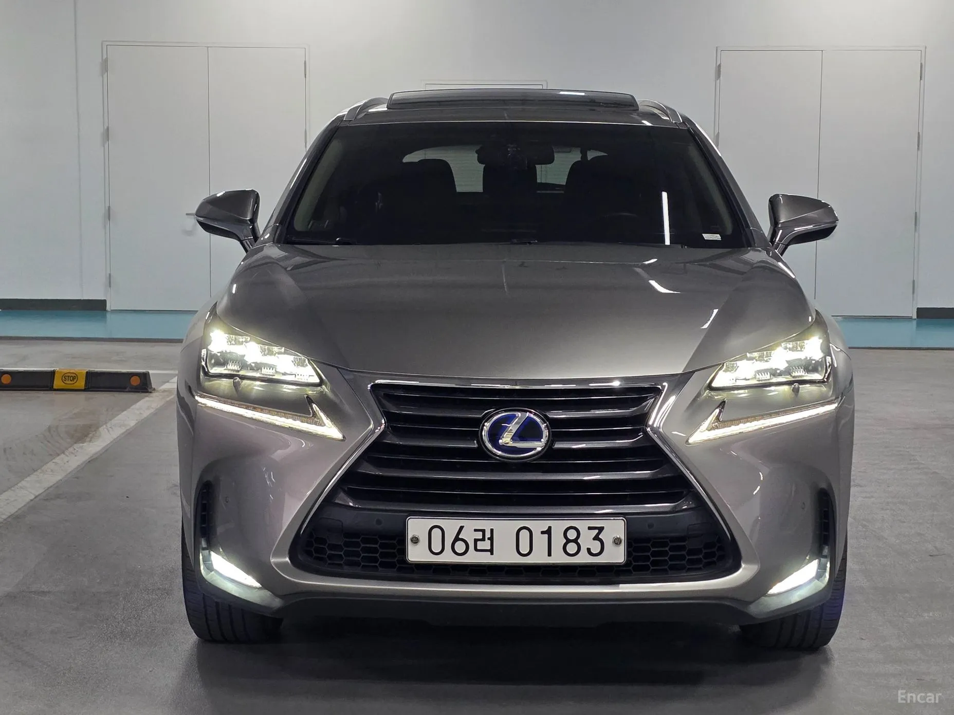 Lexus NX300h