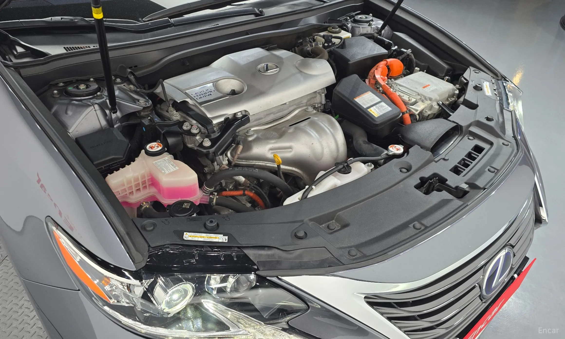 Lexus New ES300h превью 6