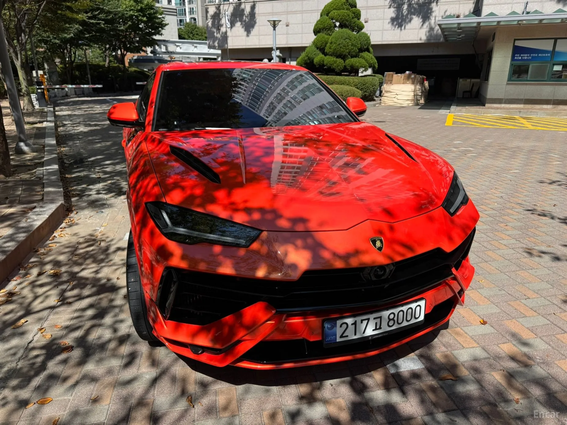 Urus