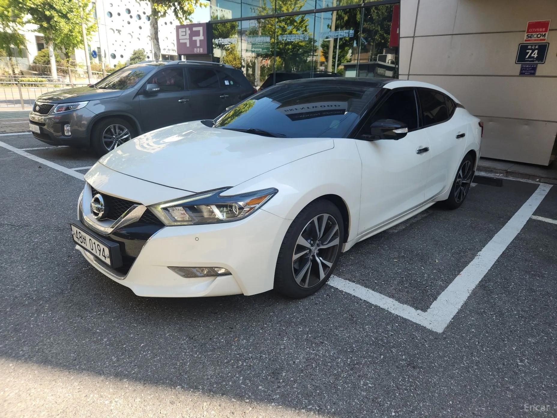 Nissan Maxima (A36)
