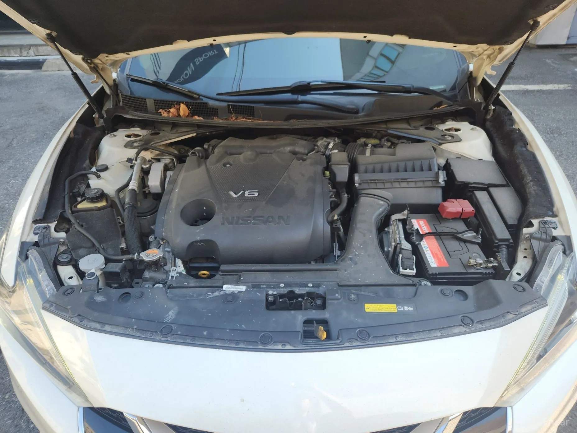 Nissan Maxima (A36) превью 13