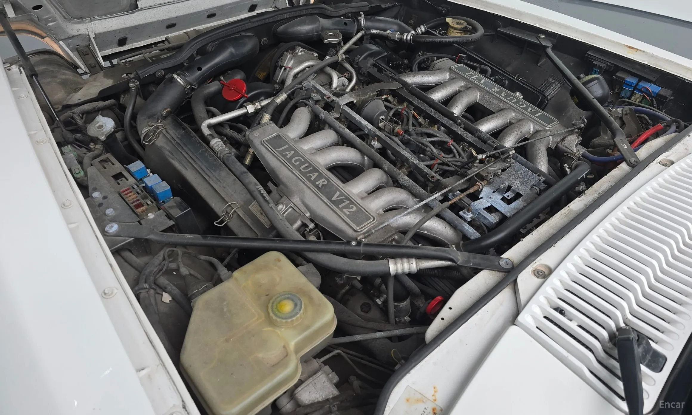 Jaguar XJS превью 6