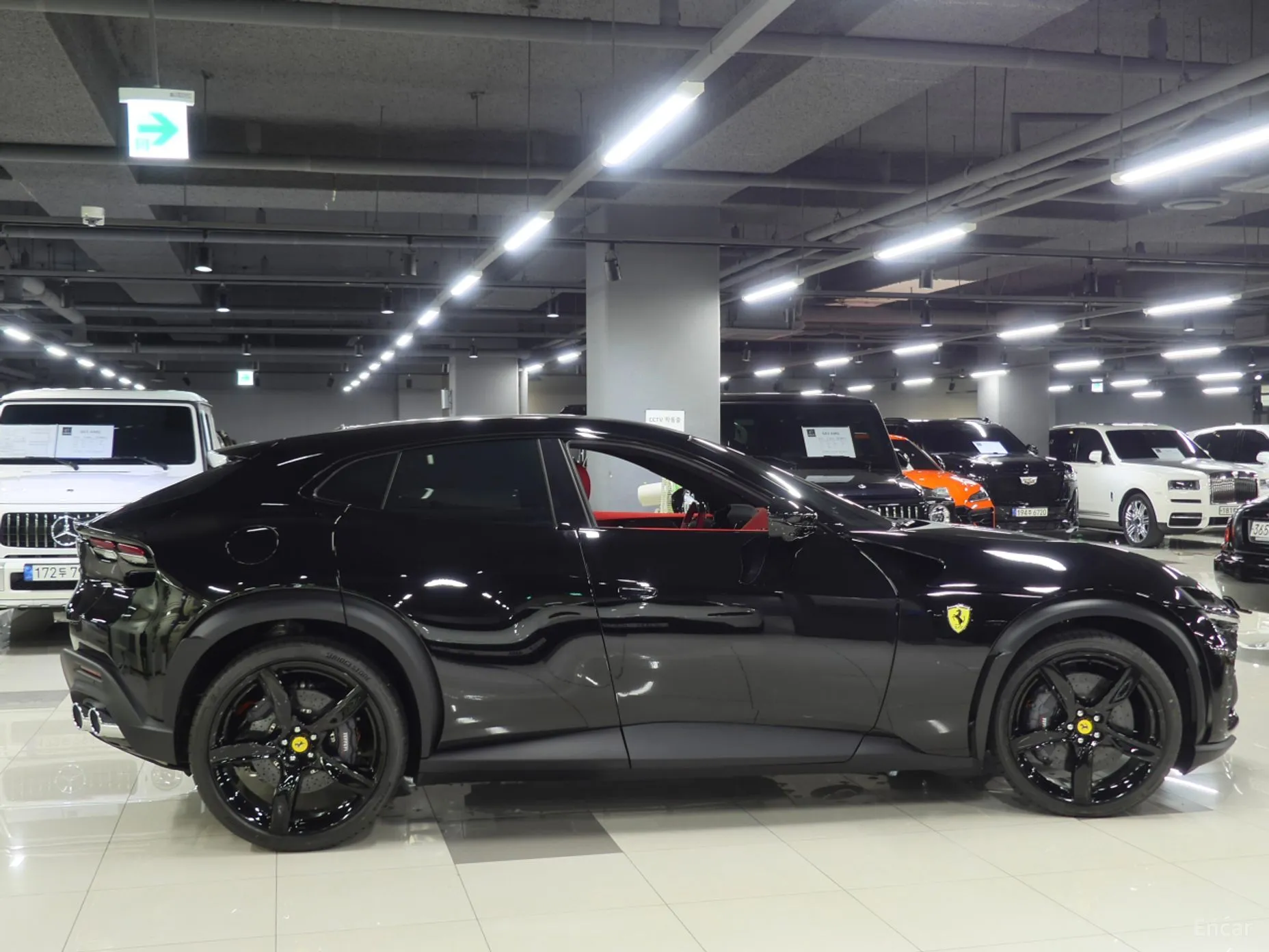 Ferrari Puro Sange