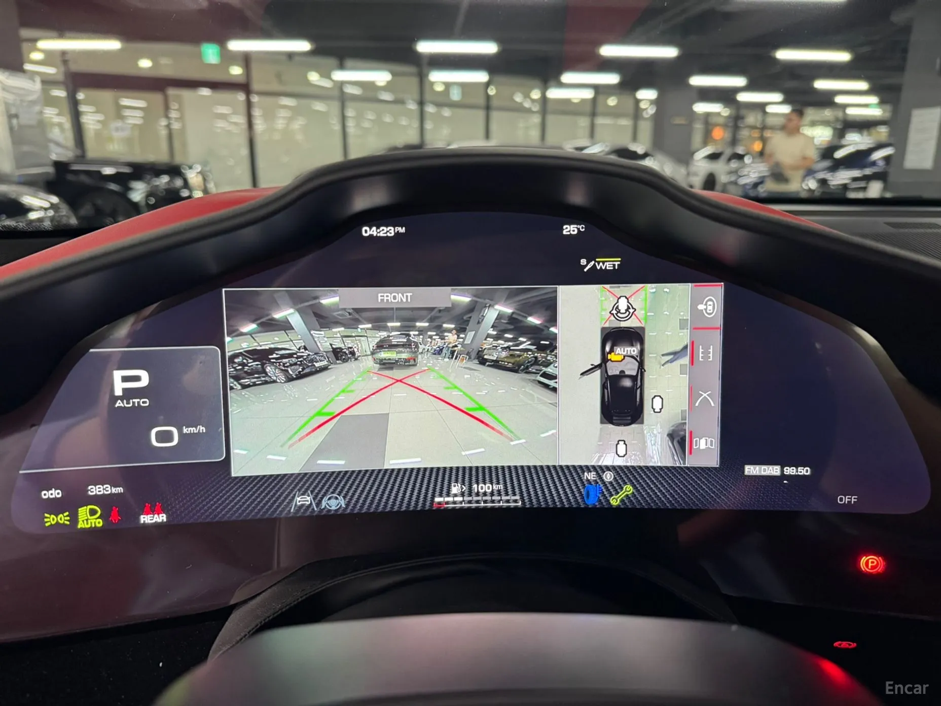 Ferrari Puro Sange превью 5