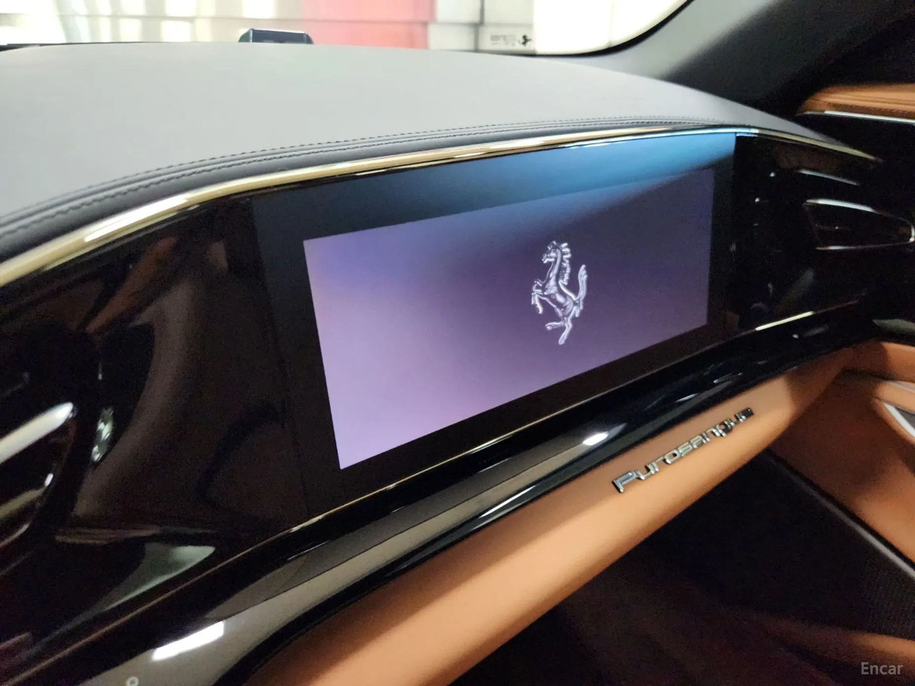 Ferrari Puro Sange превью 15