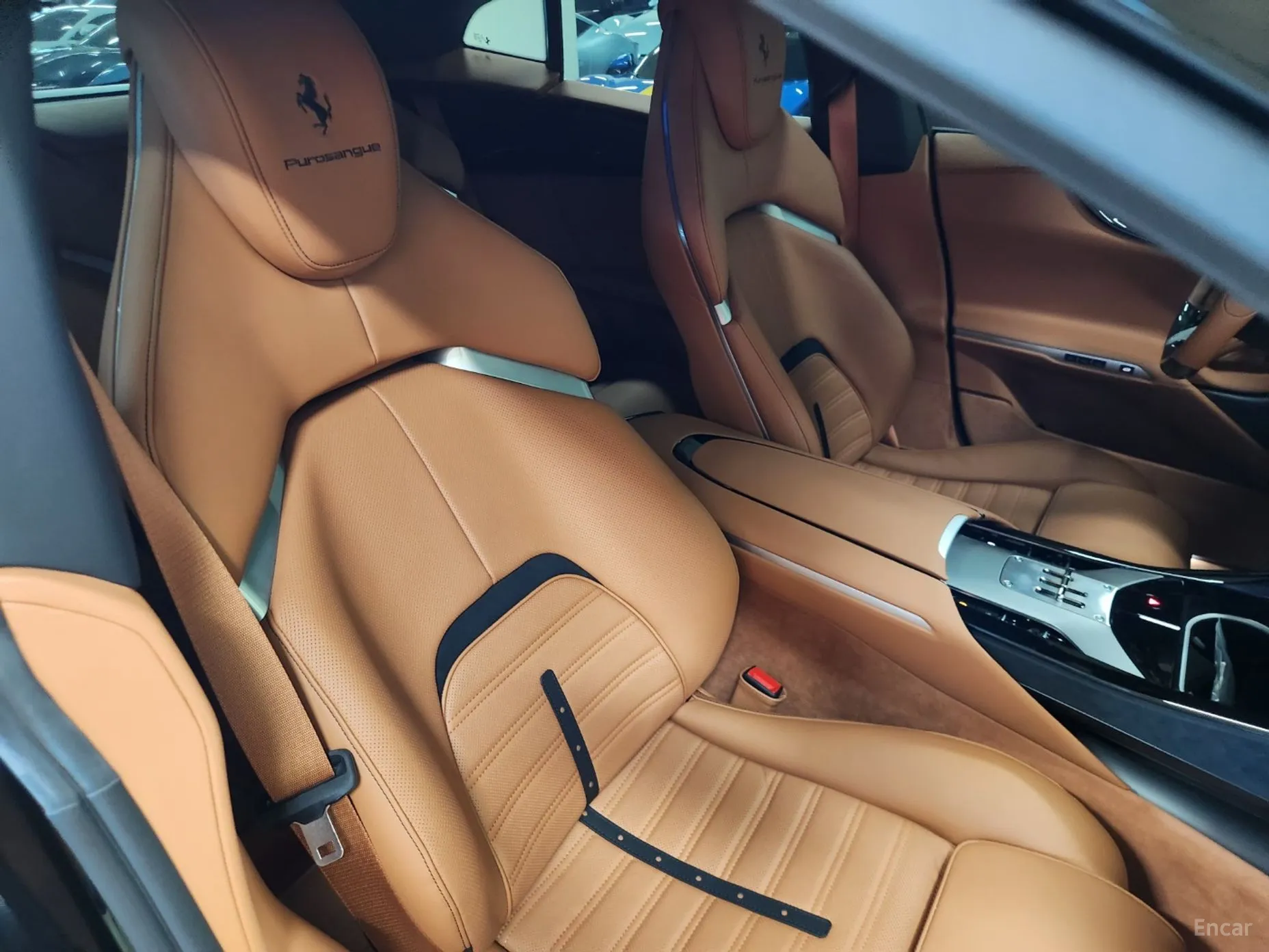 Ferrari Puro Sange превью 18