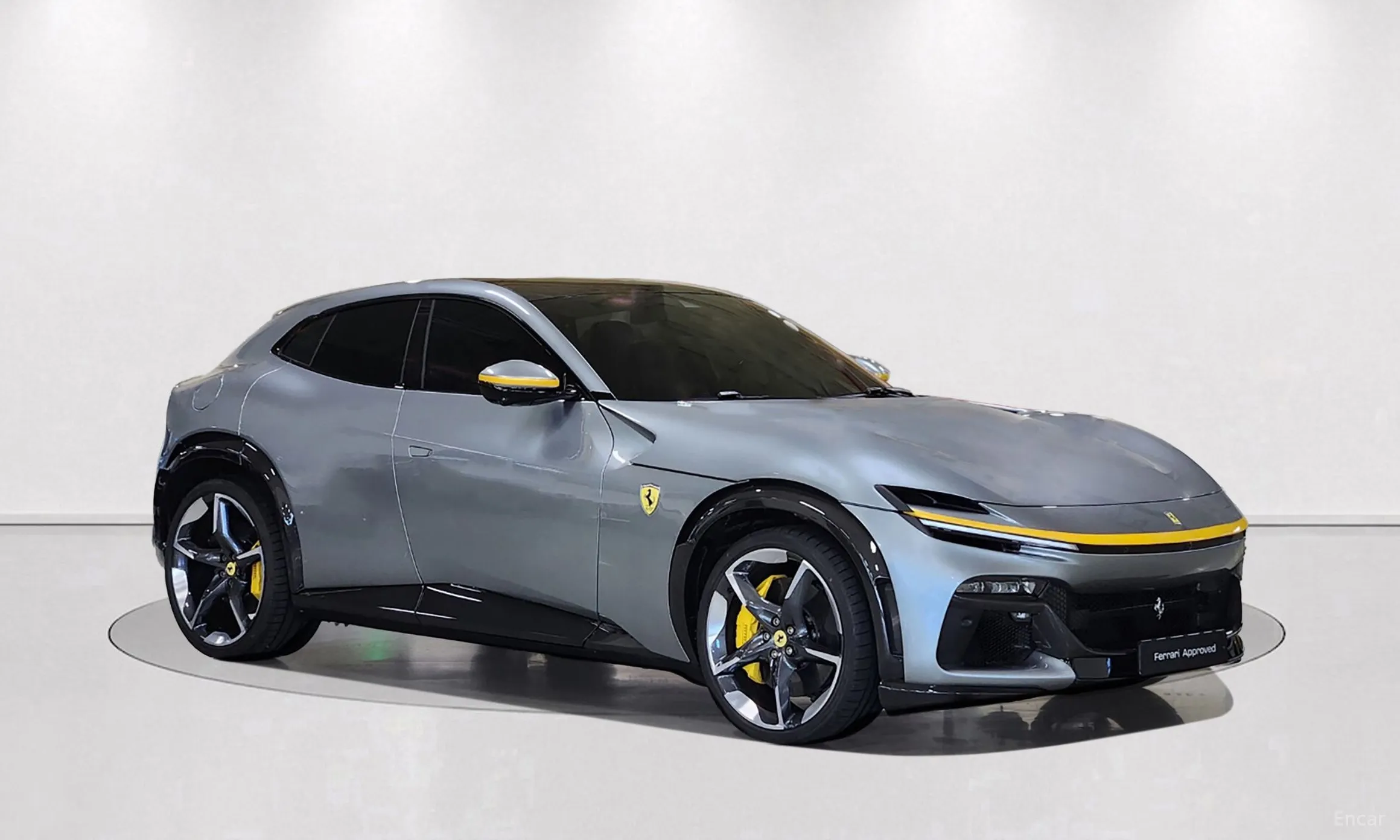 Ferrari Puro Sange превью 4
