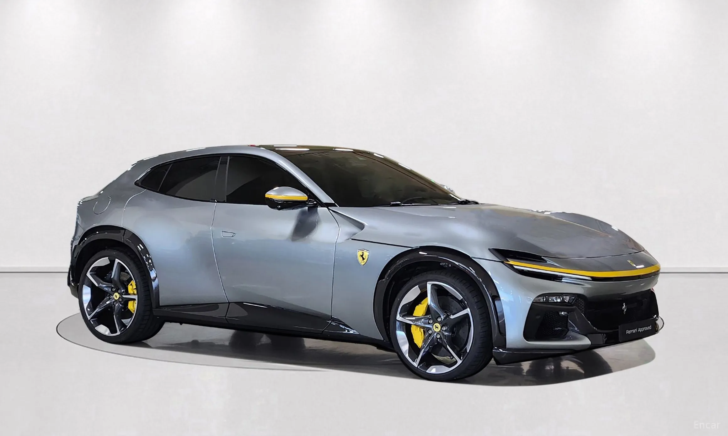 Ferrari Puro Sange превью 5