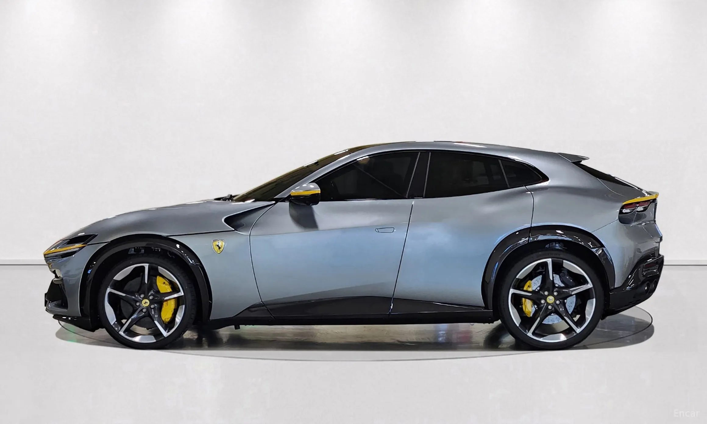 Ferrari Puro Sange превью 8