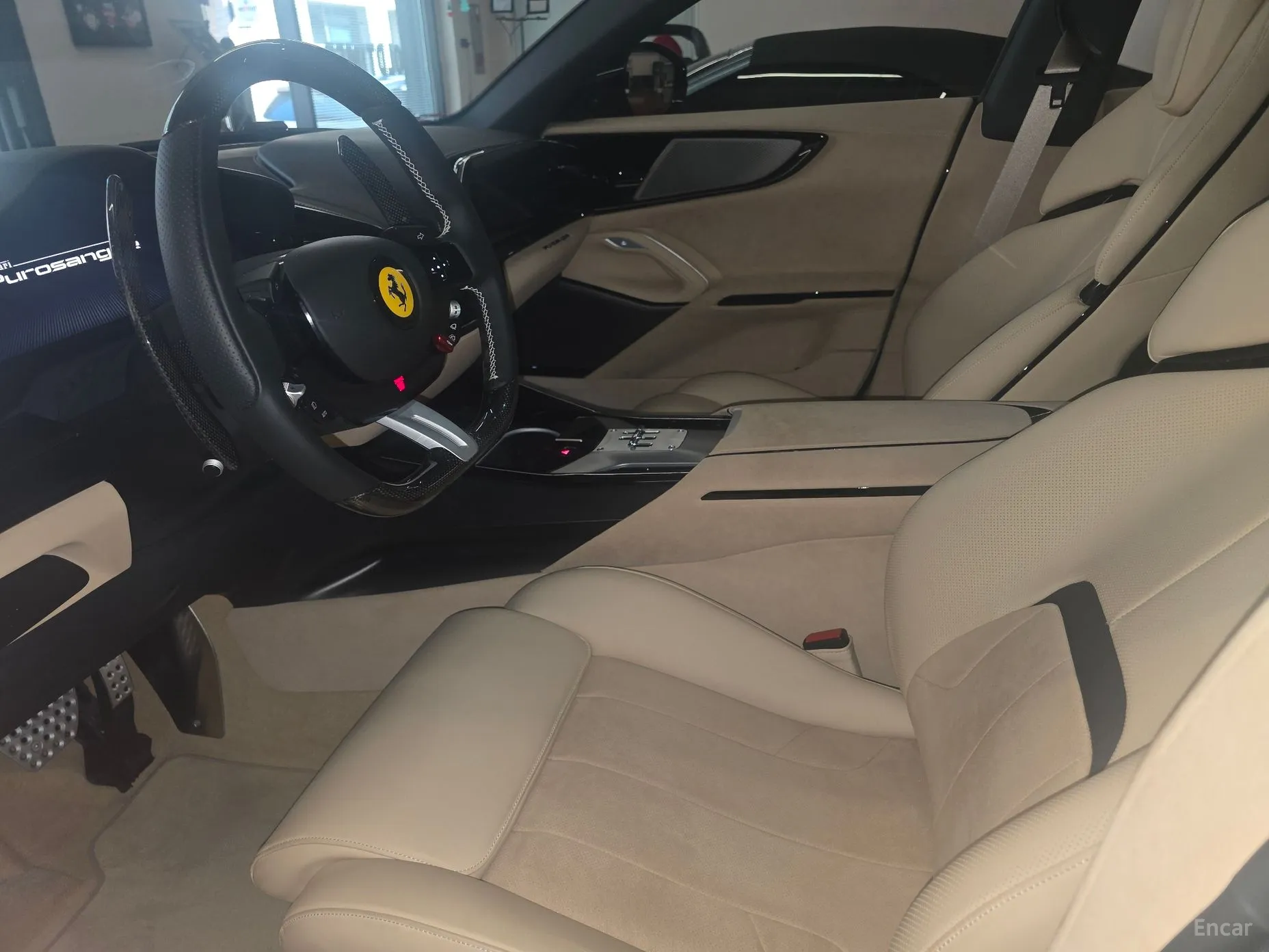 Ferrari Puro Sange превью 10