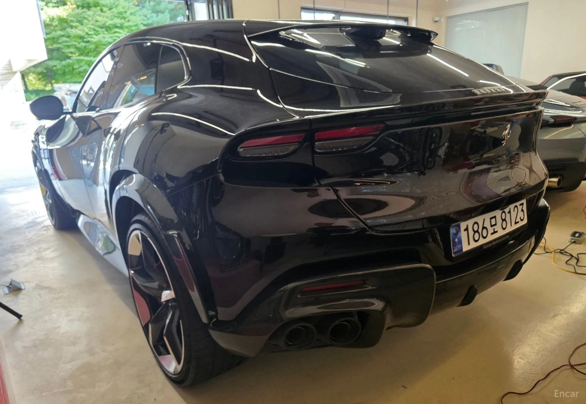 Ferrari Puro Sange превью 4