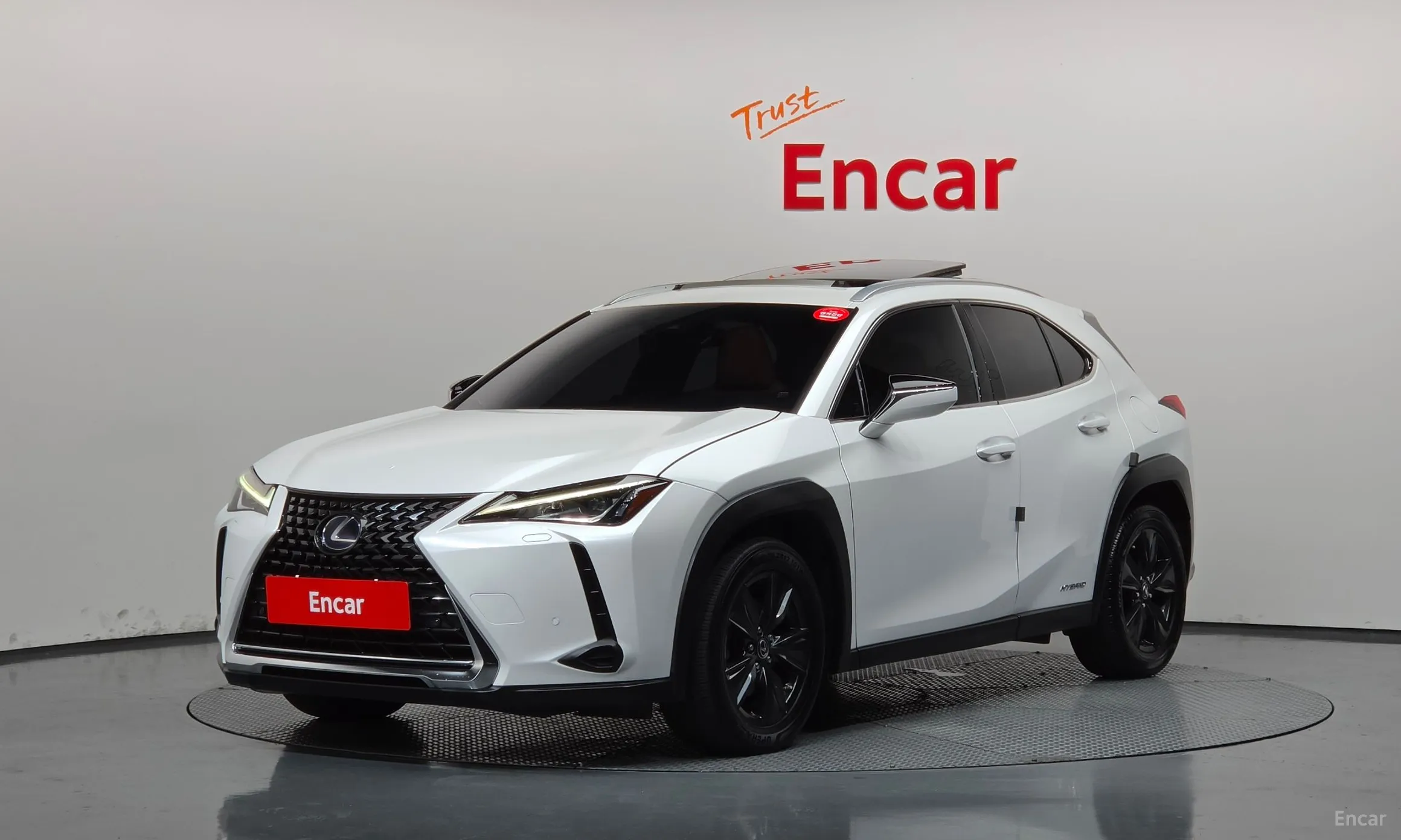 Lexus UX250h